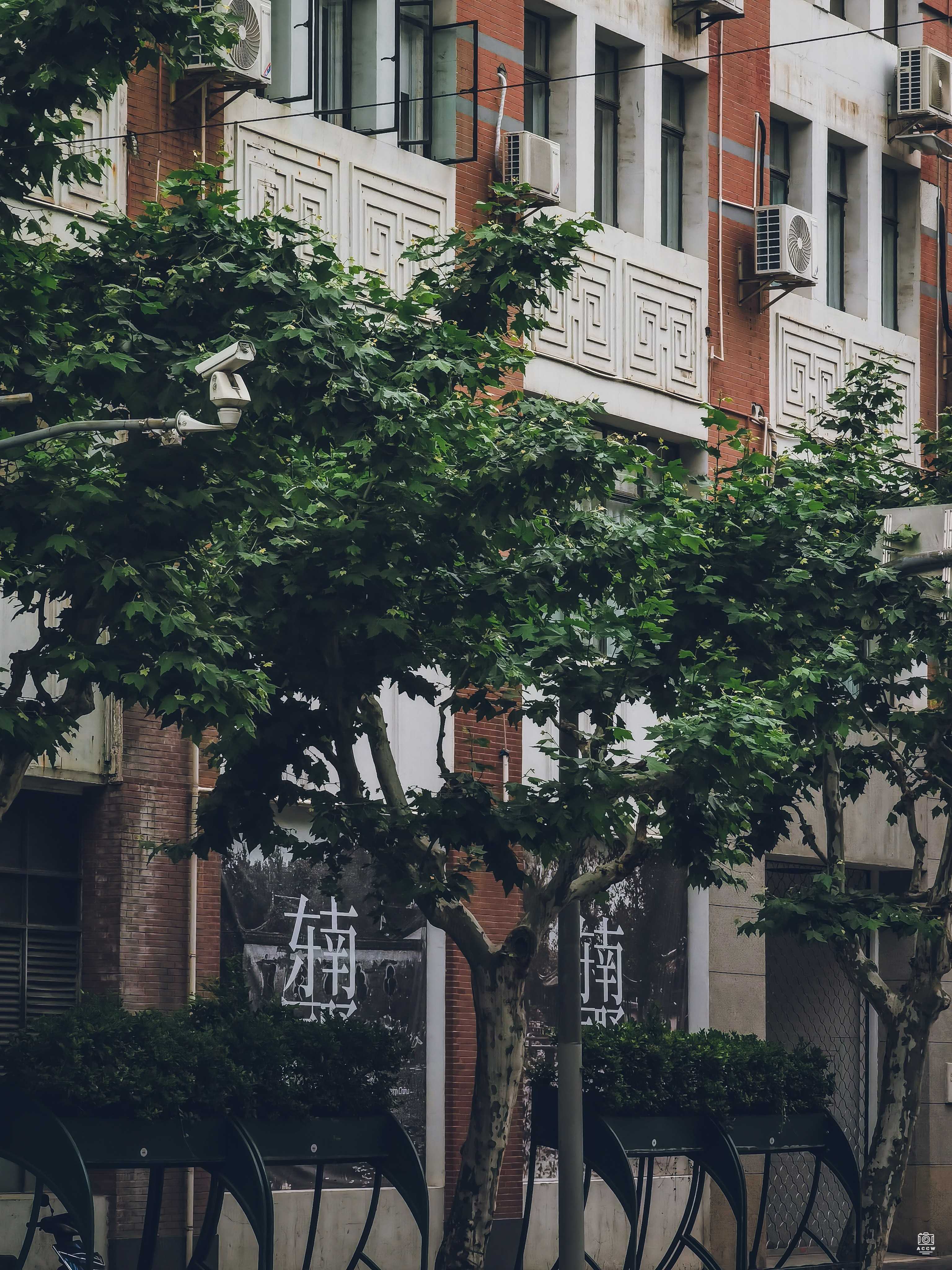浙江兴业银行大楼 图片2