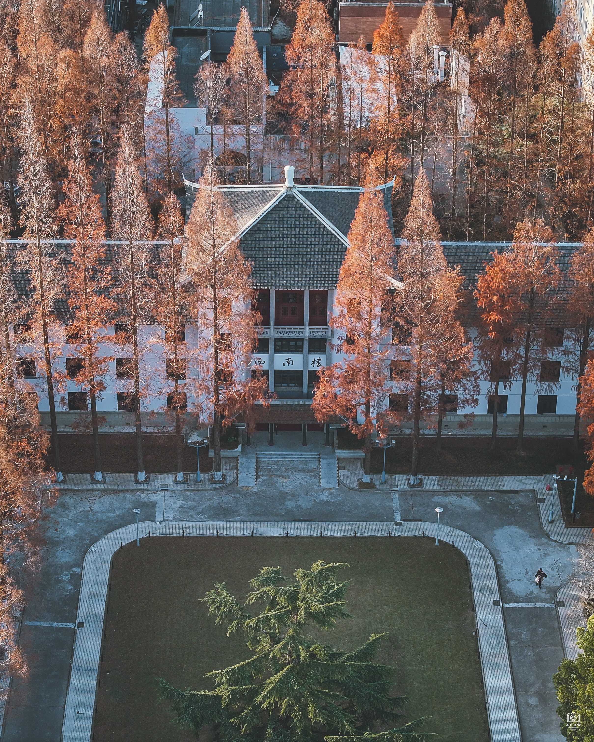 同济大学建筑群-西南一楼 - 历史老房子封面图