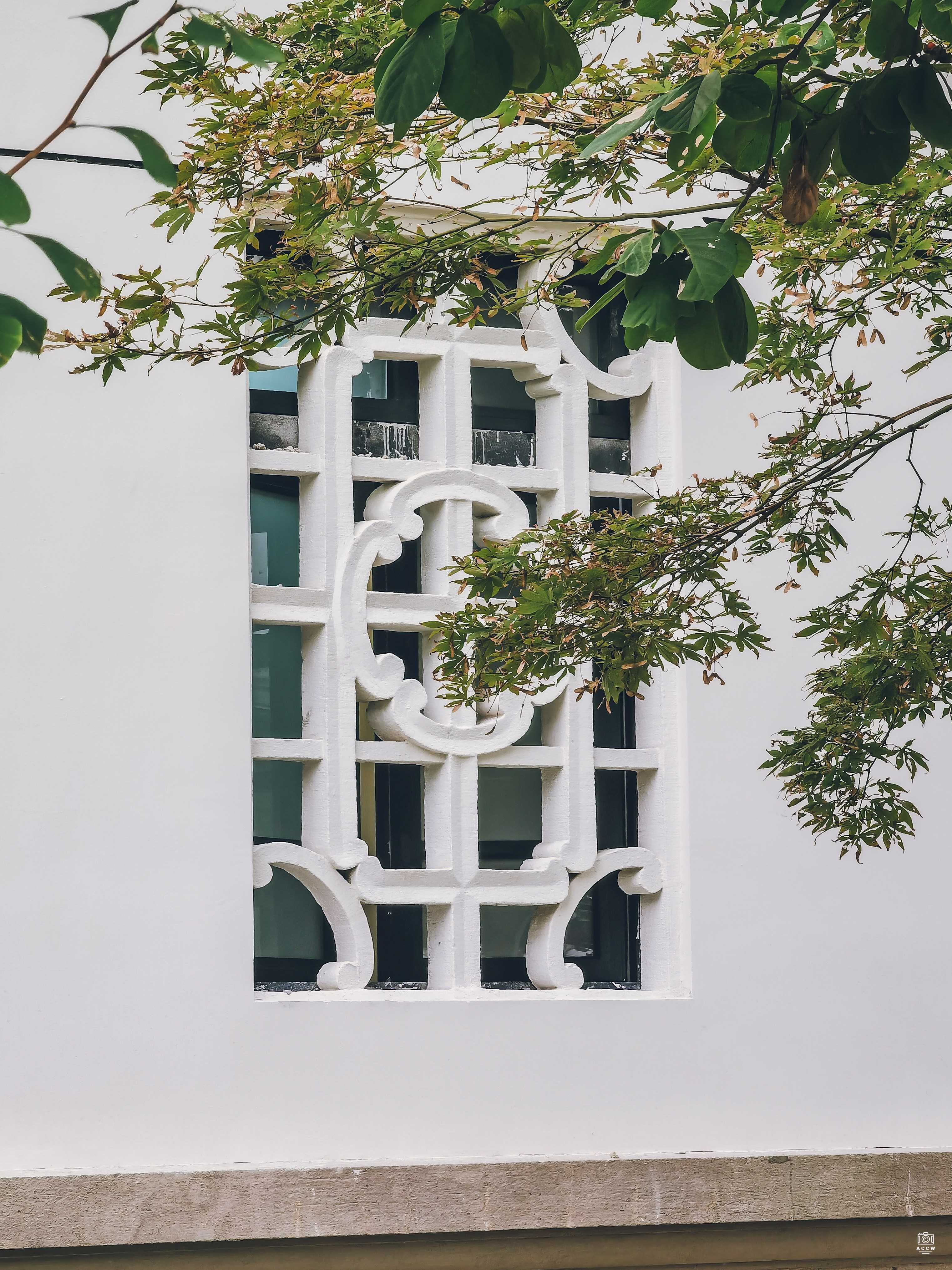 同济大学建筑群-西南一楼 图片6