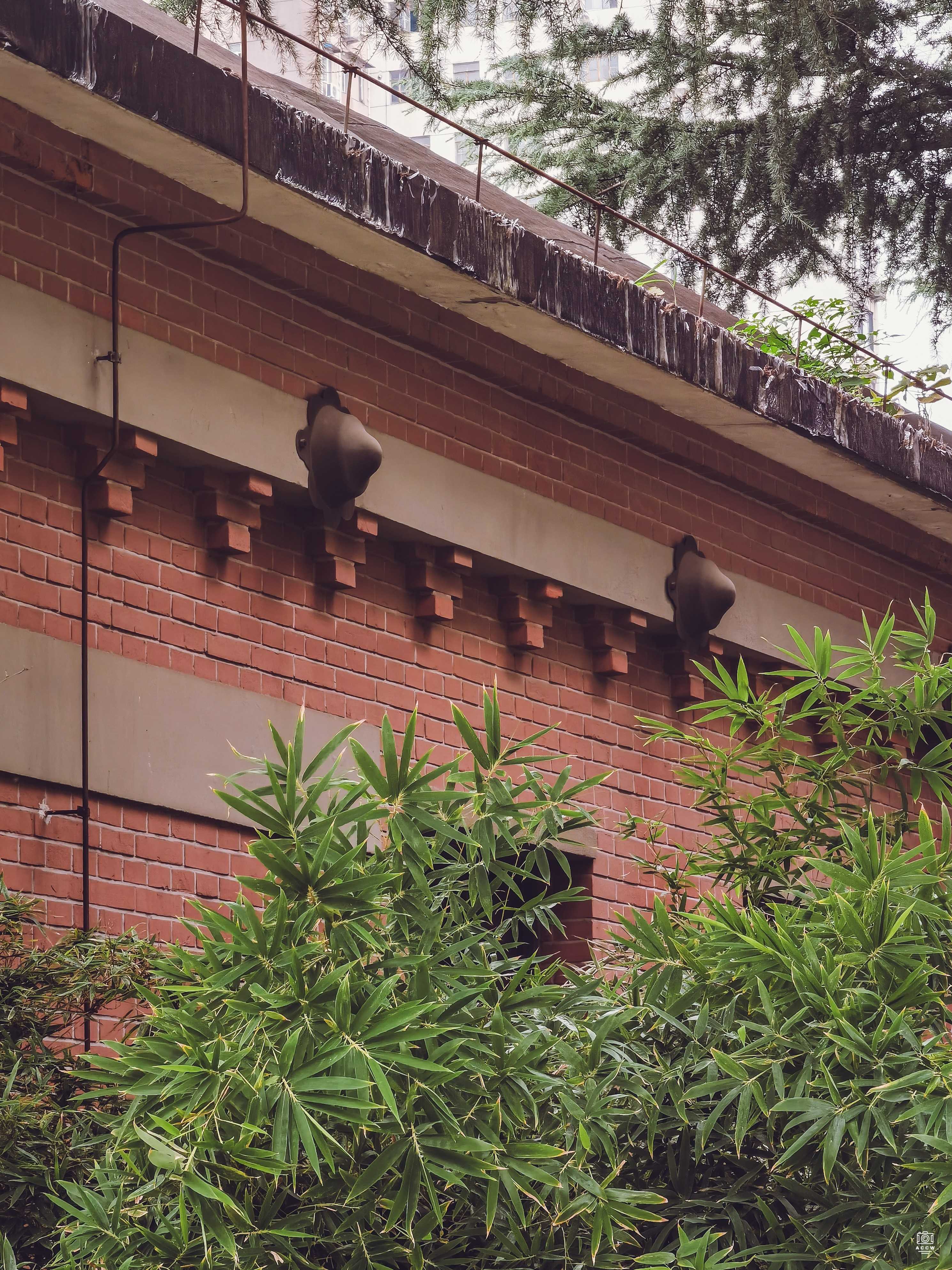 同济大学建筑群-机电厂 图片6