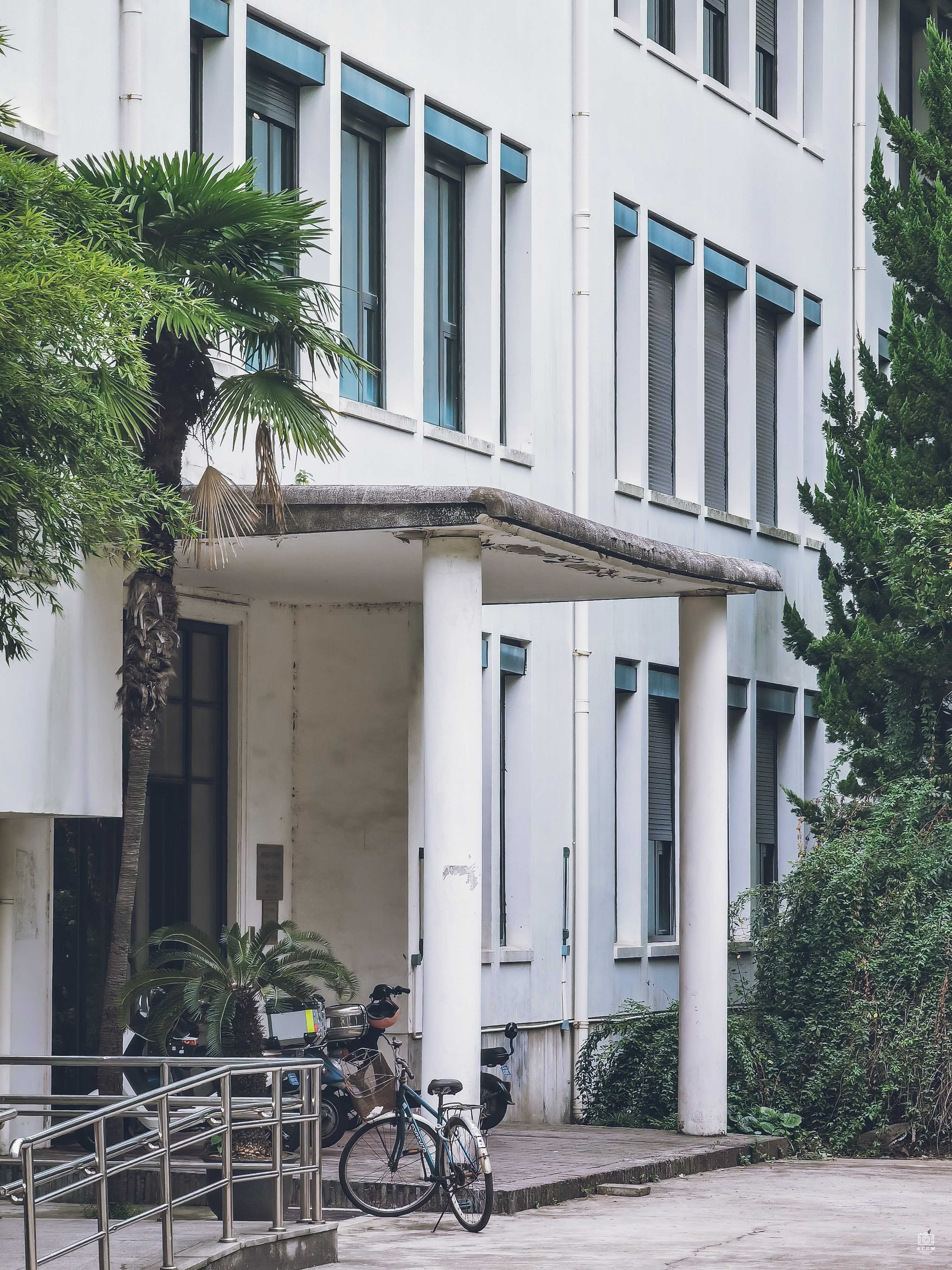 同济大学建筑群-“一二九”大楼 图片4