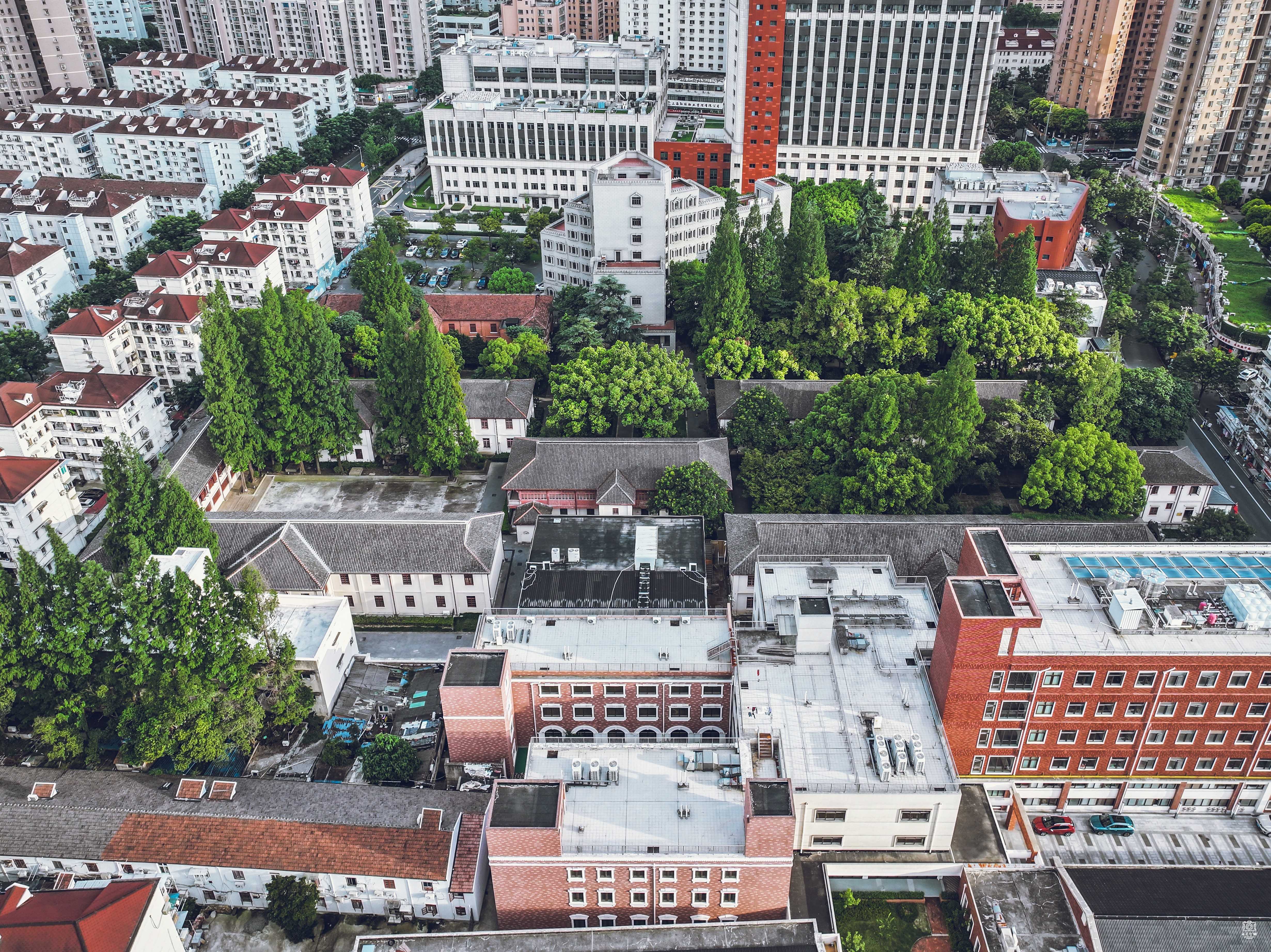 新普育堂 图片4