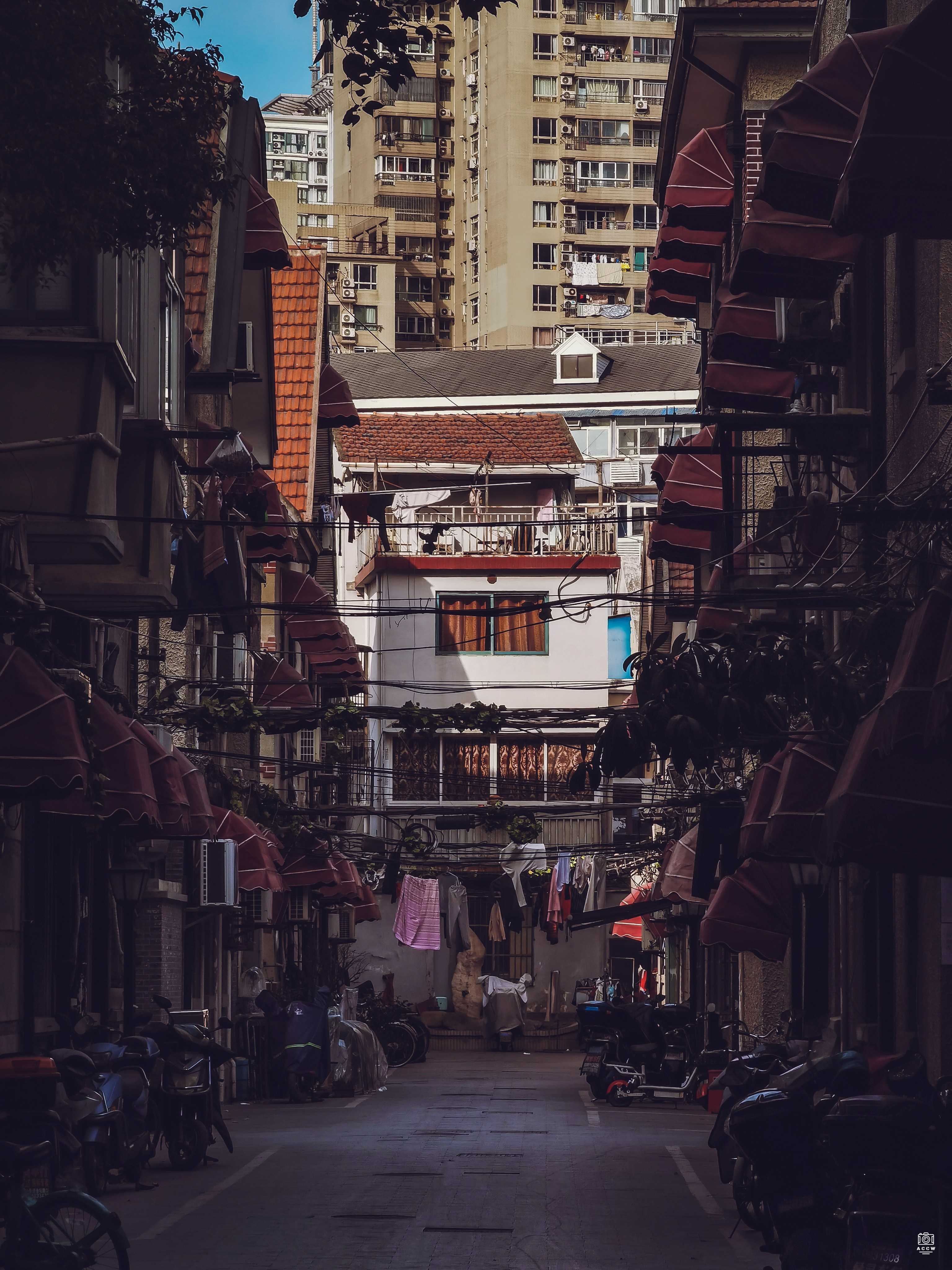 集贤村 图片5