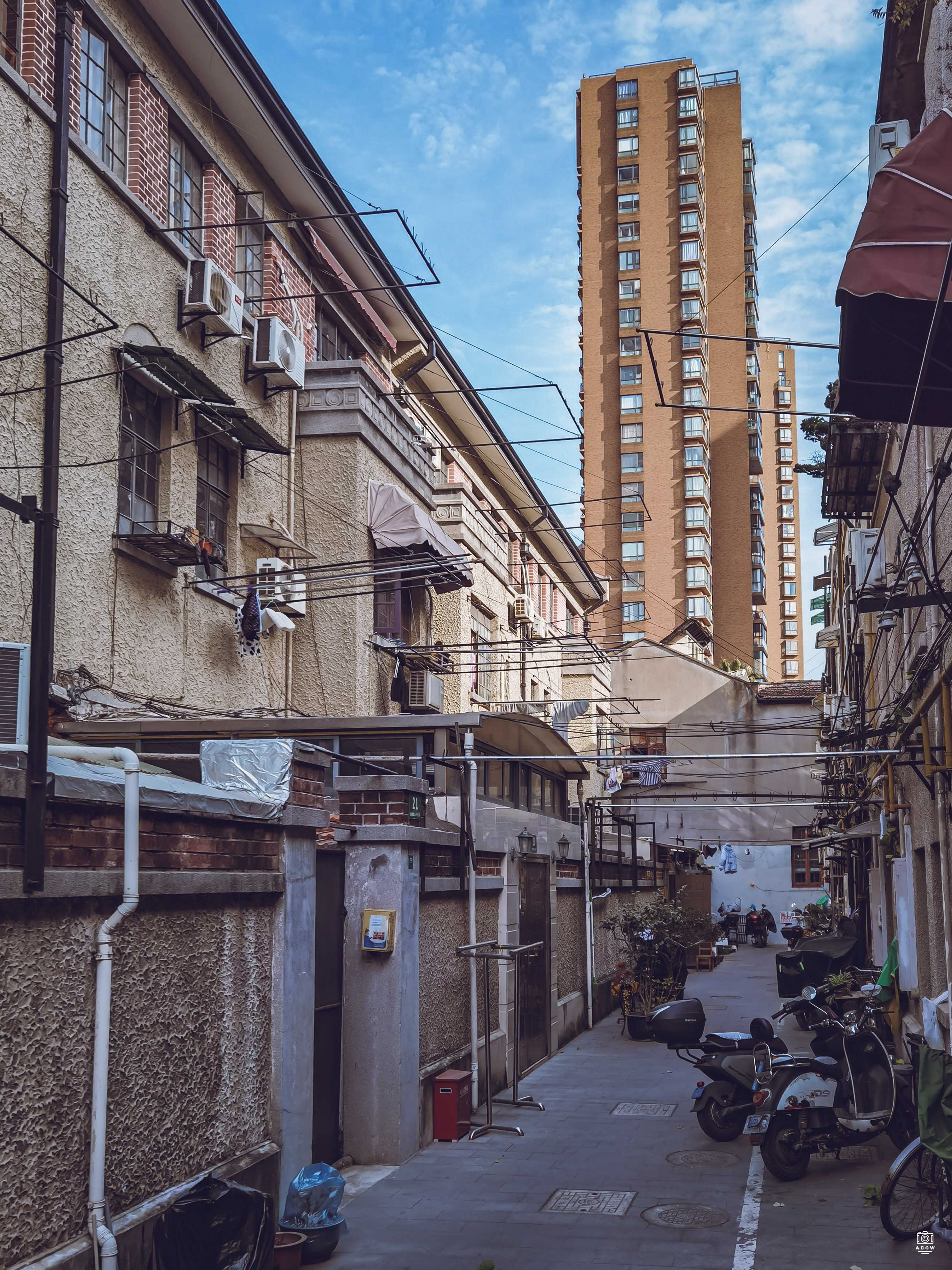 集贤村 图片6