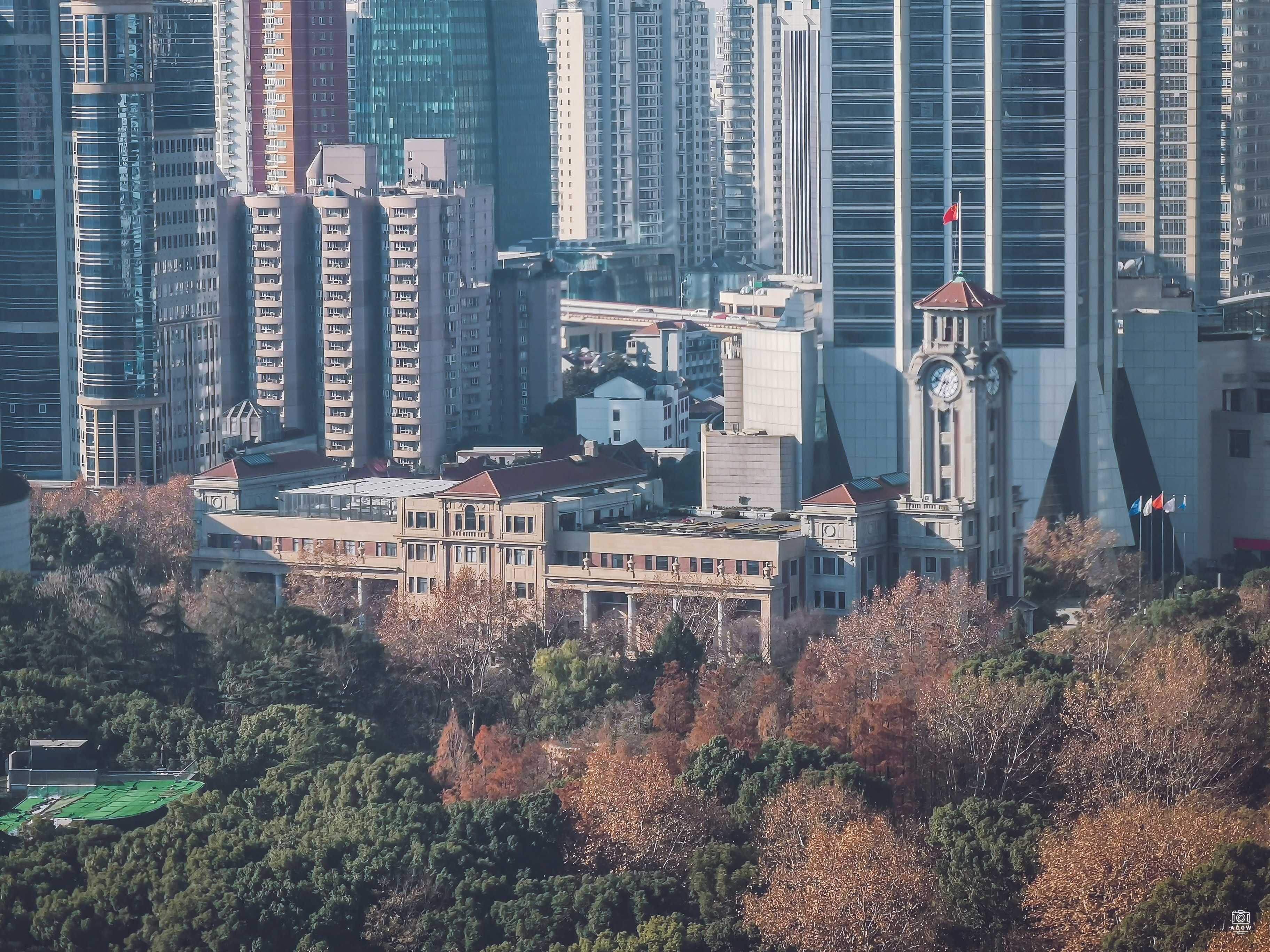 跑马总会 图片2