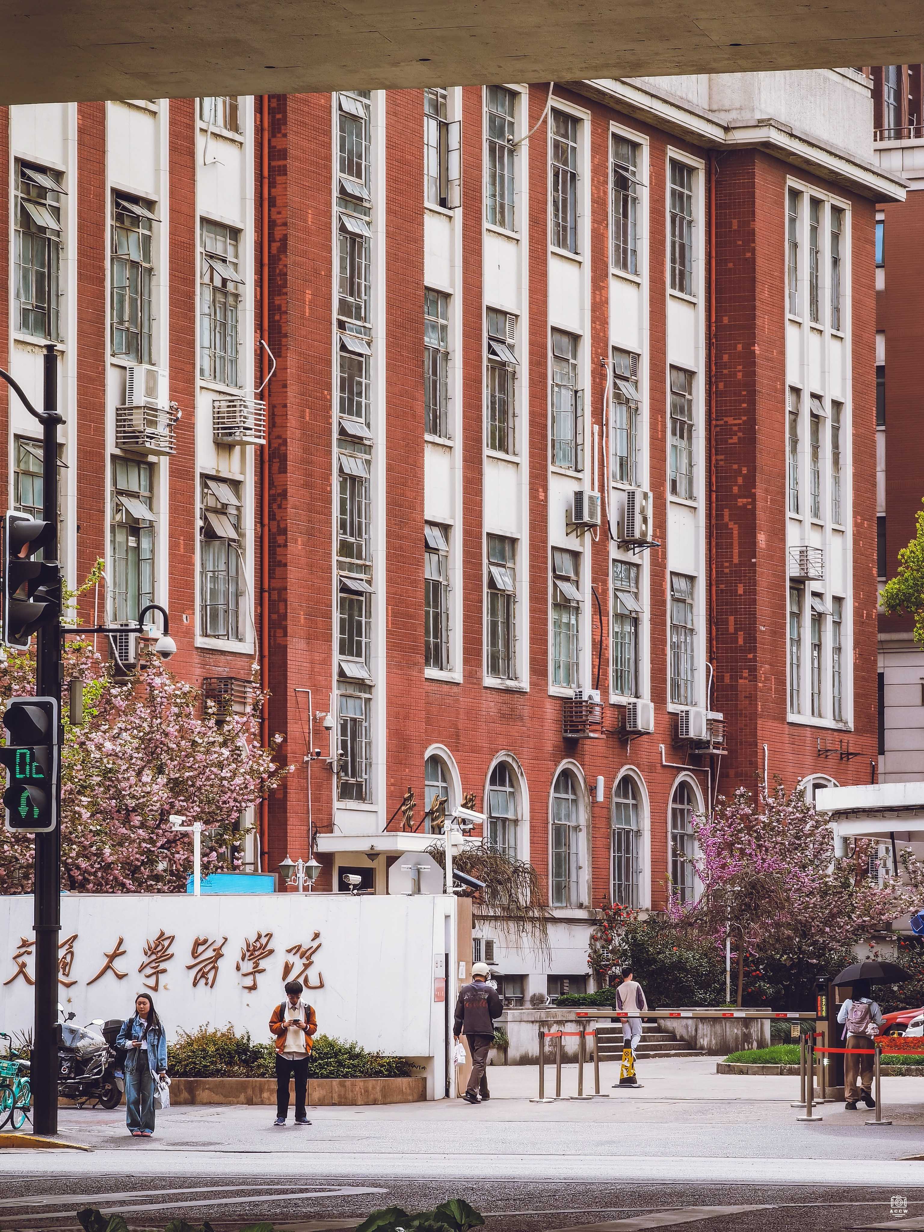 震旦大学图书馆 图片5