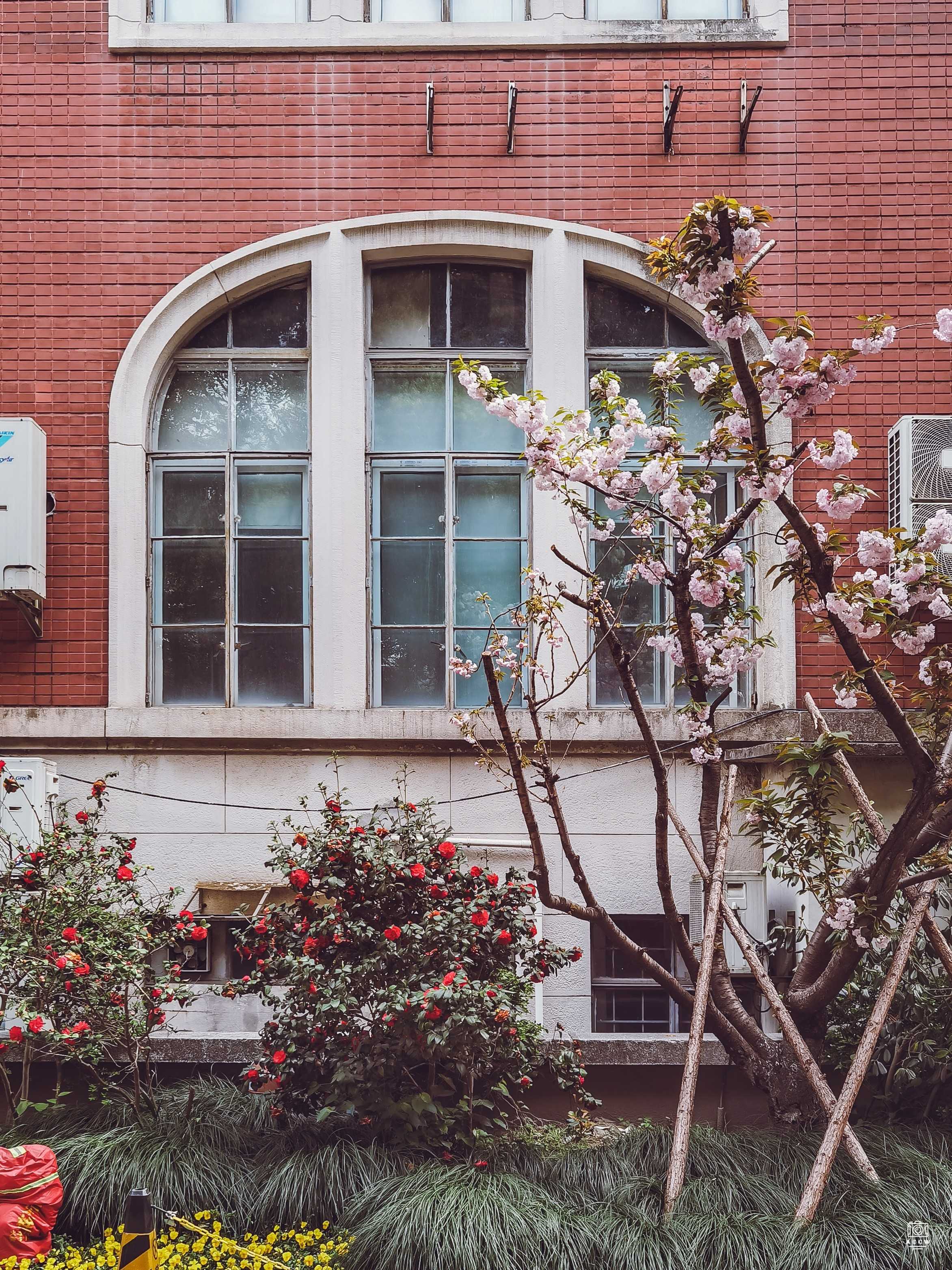 震旦大学图书馆 图片6