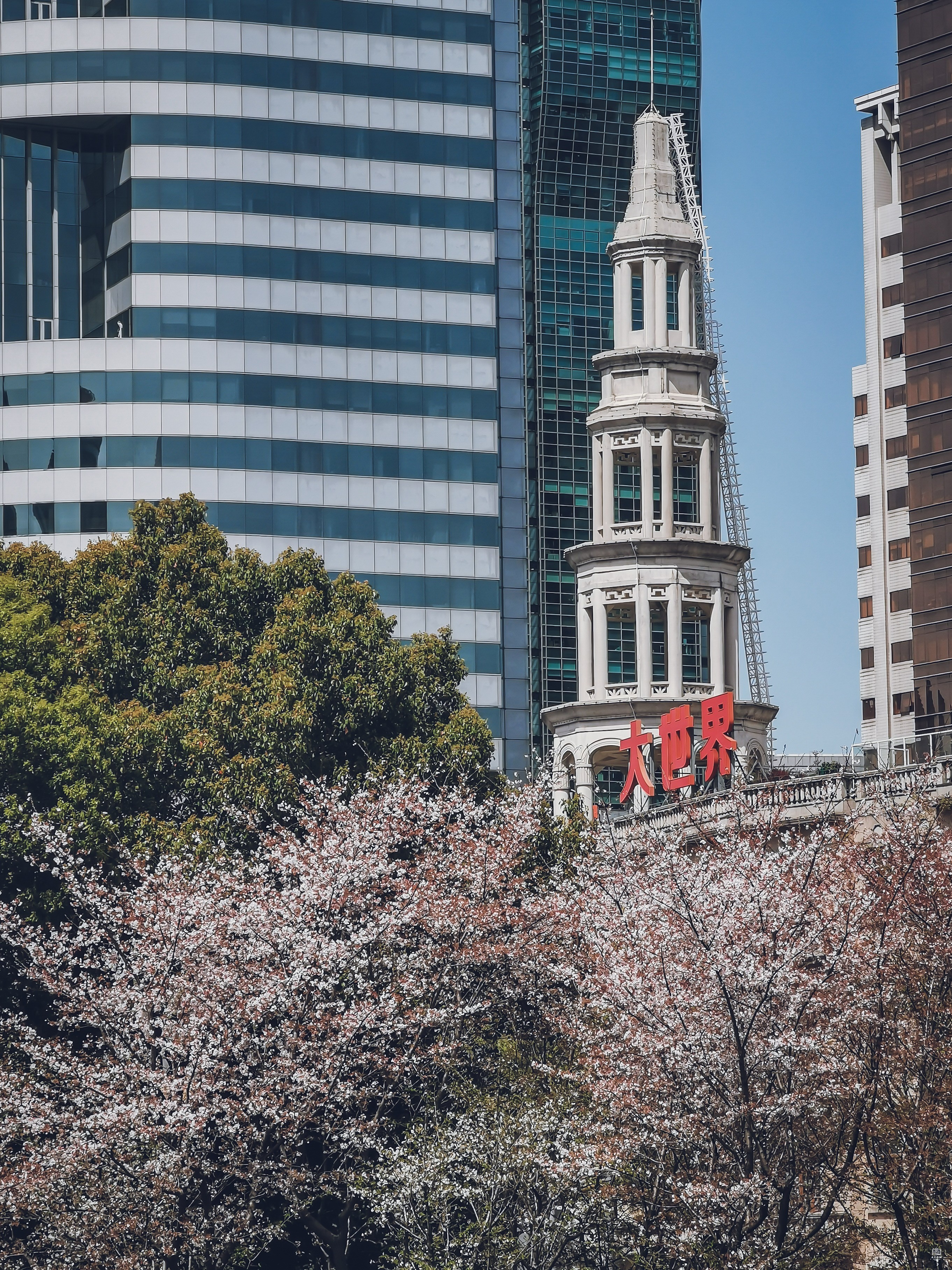 大世界游乐场 图片2