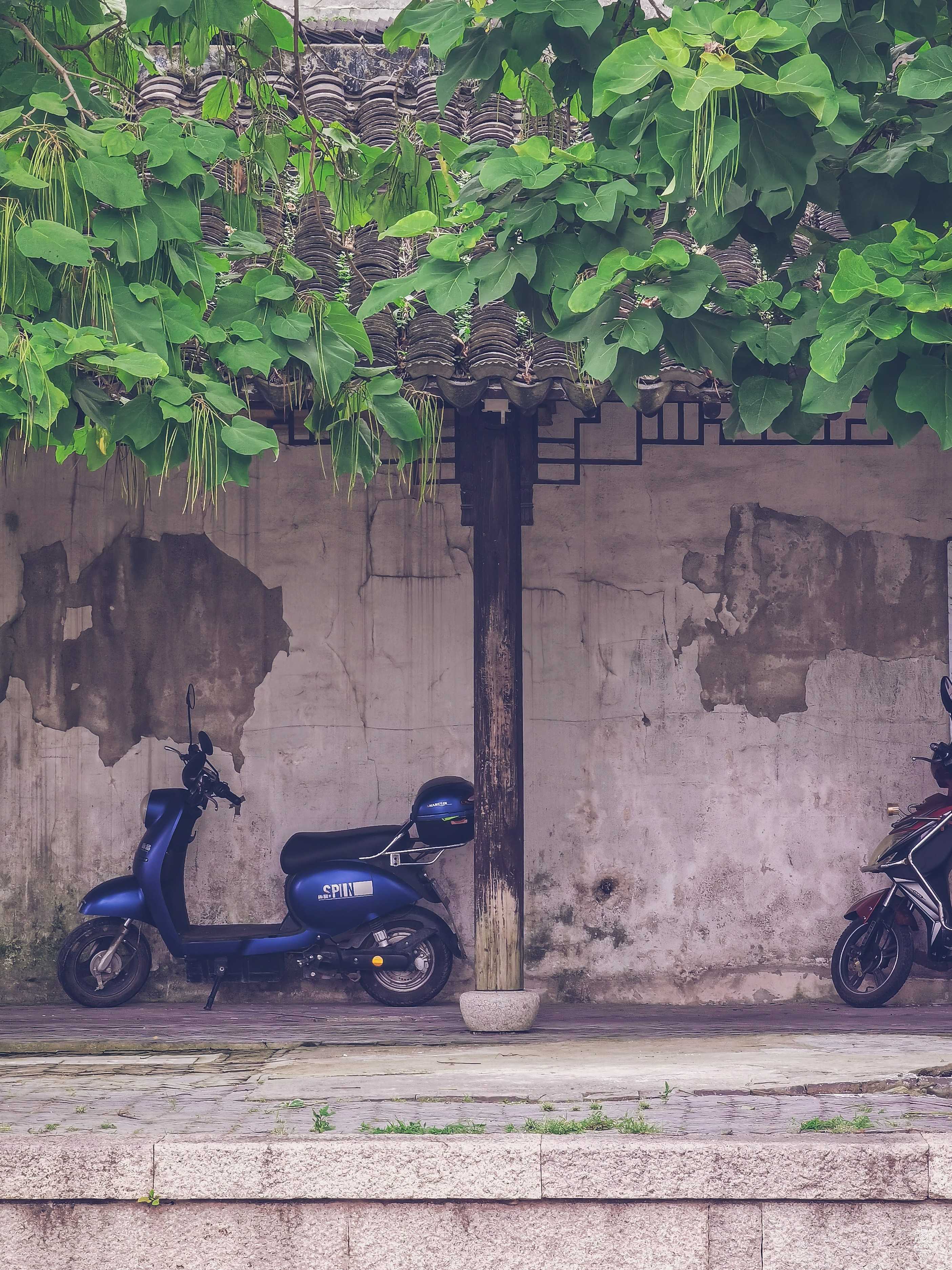 下塘街毗连住宅 图片4
