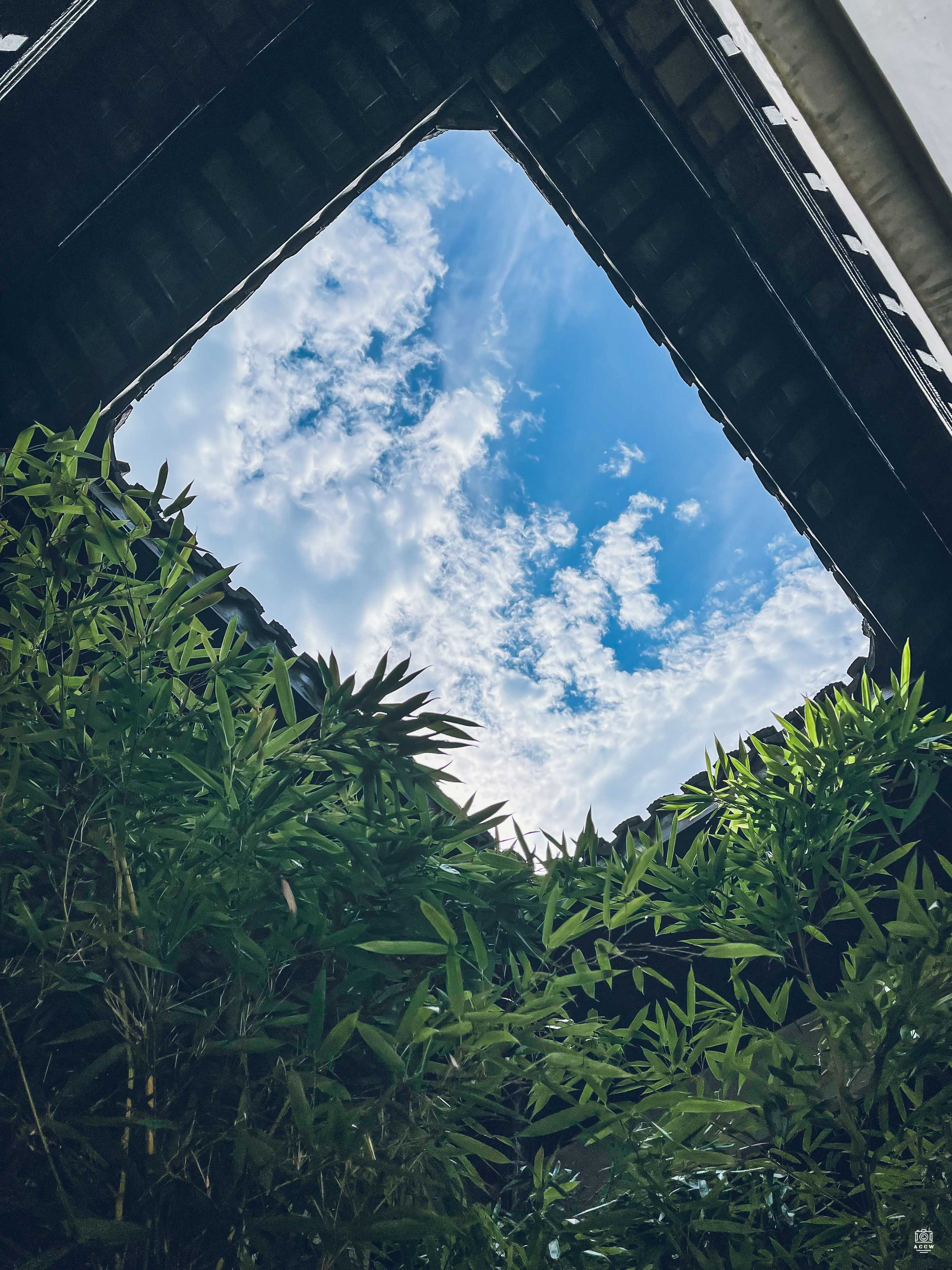 淼趣楼 图片5