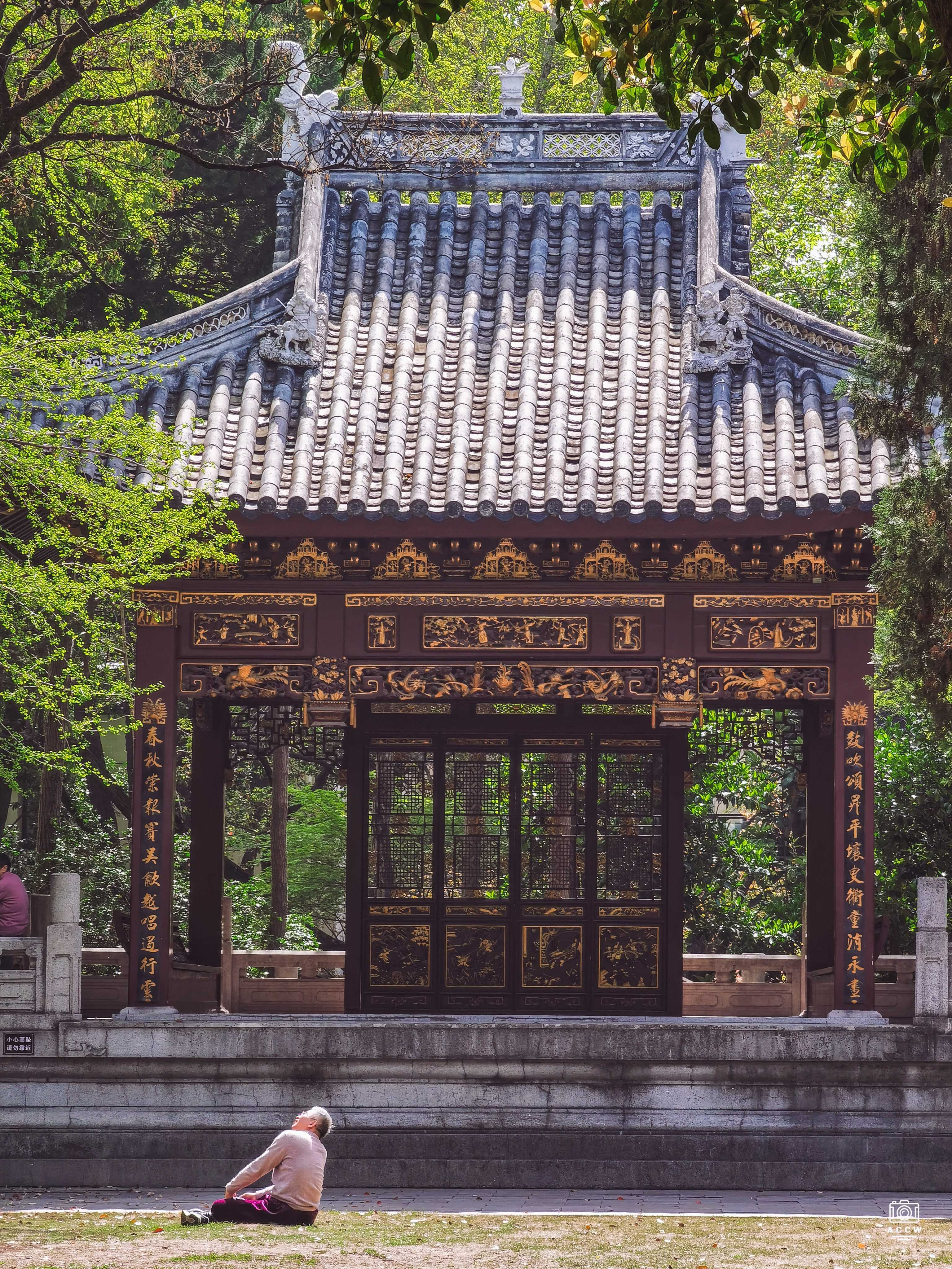 汇龙潭公园 图片2