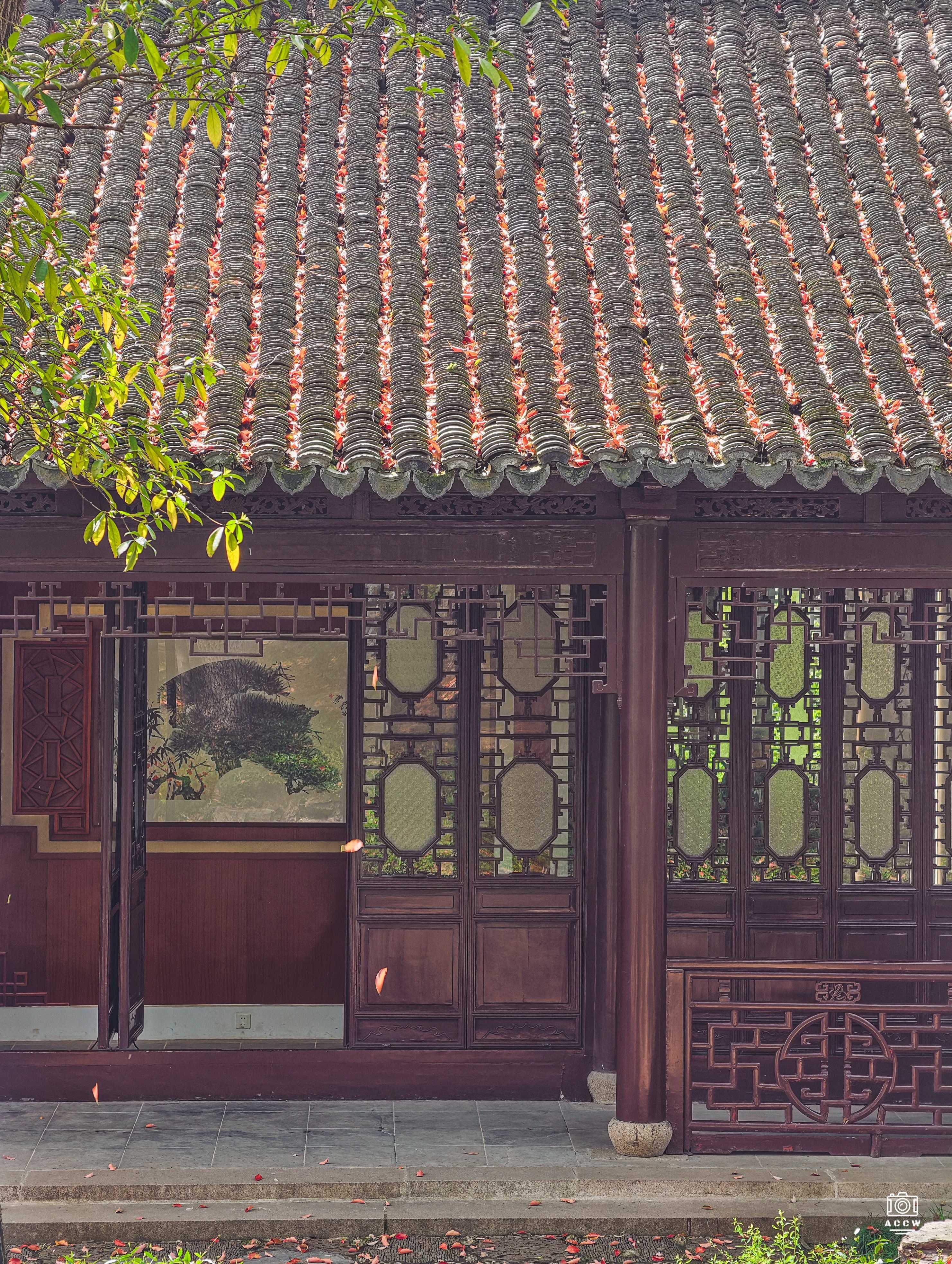 汇龙潭公园 图片3
