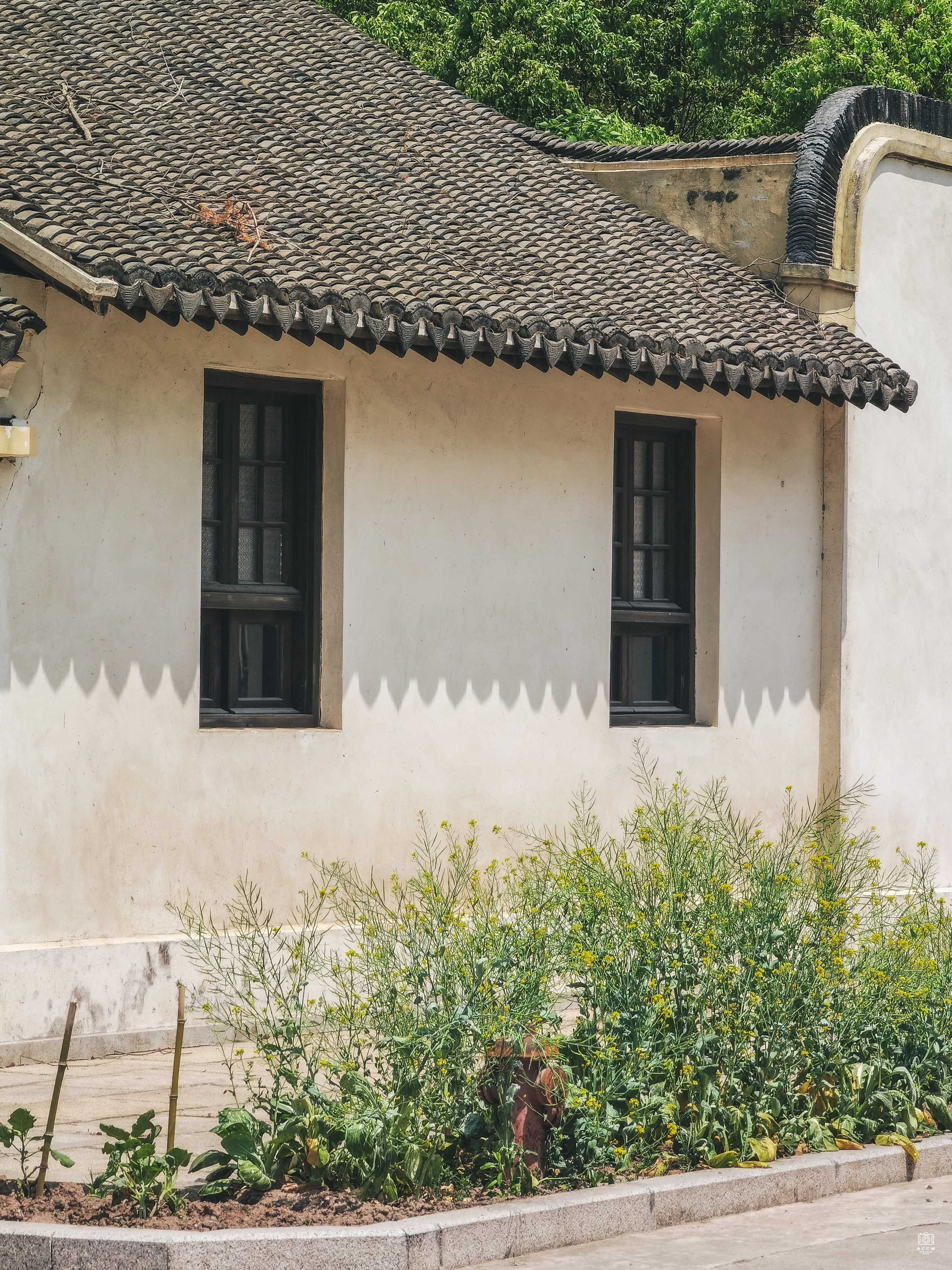 倪葆生住宅 图片5