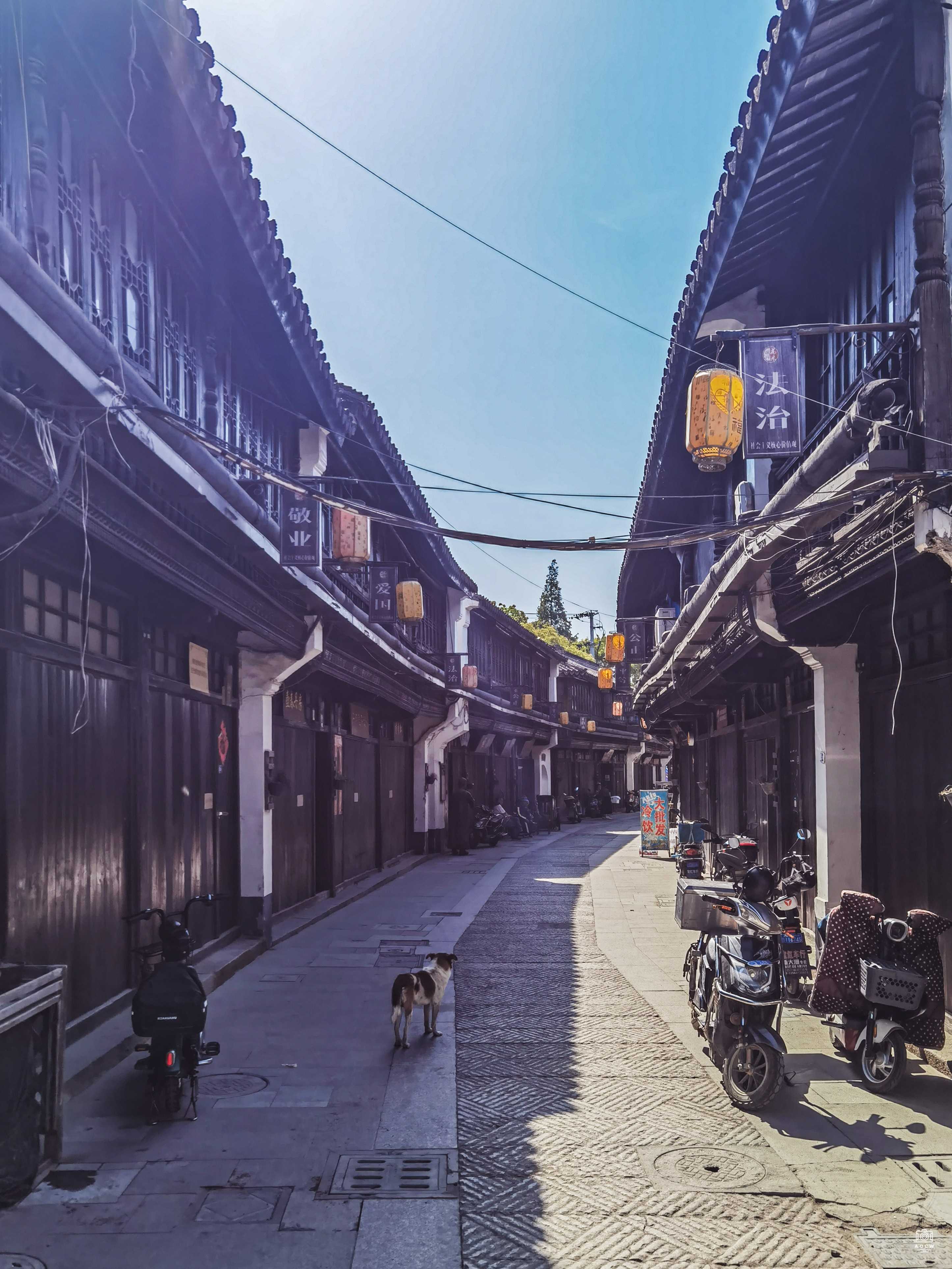 庄行东街沿街商铺民宅 图片4