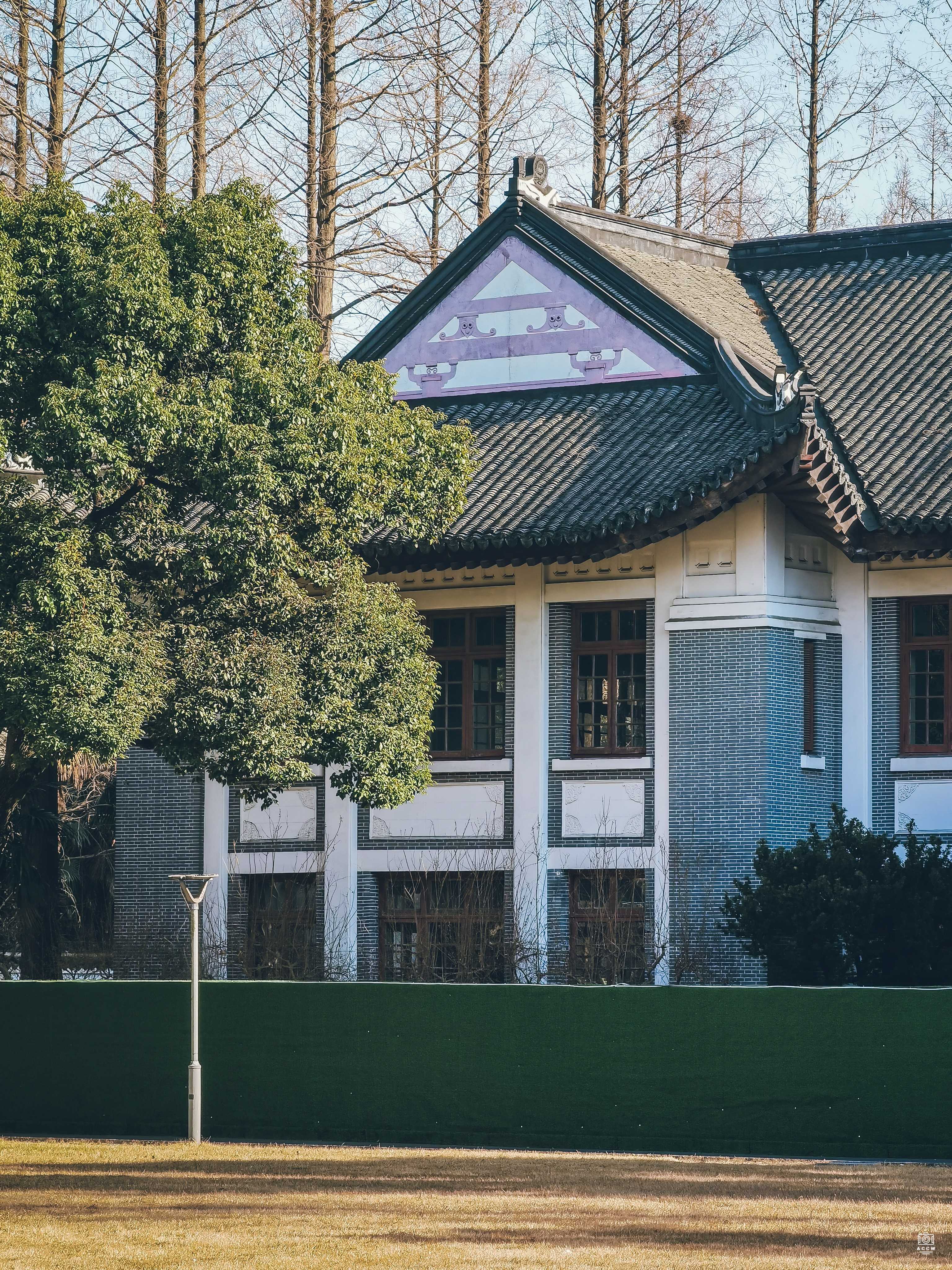 复旦大学历史建筑群-图书馆/奕柱堂 图片6