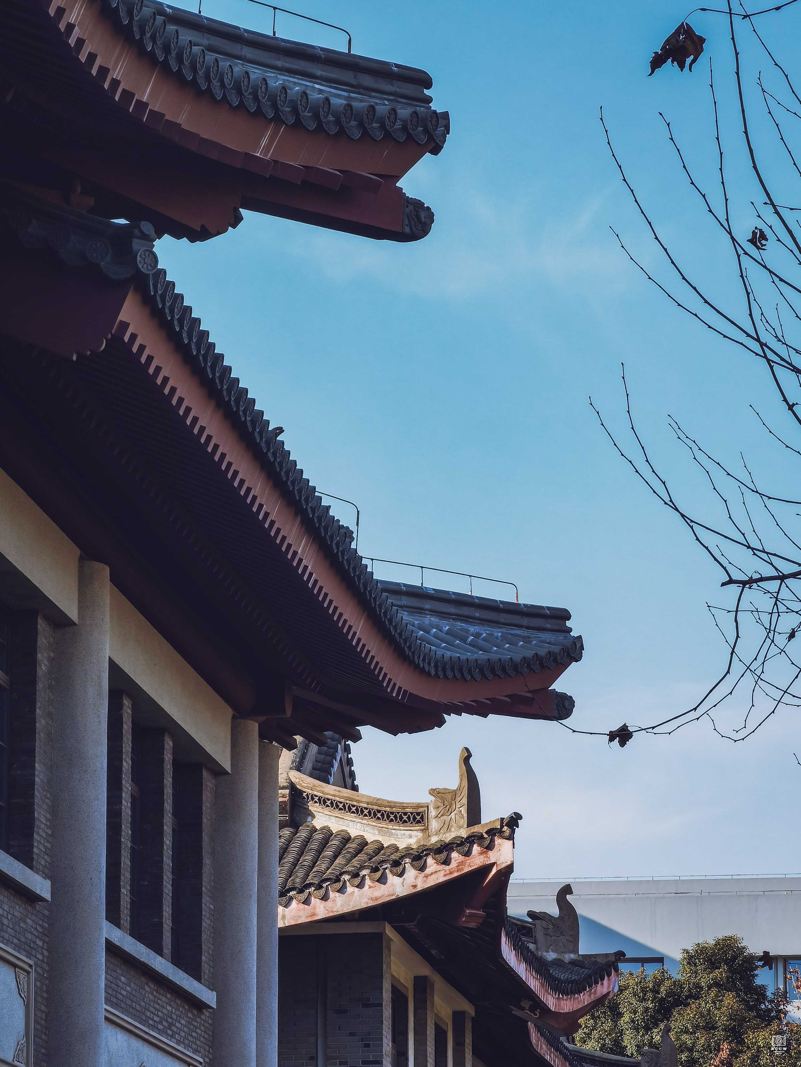 复旦大学历史建筑群-简公堂 图片5