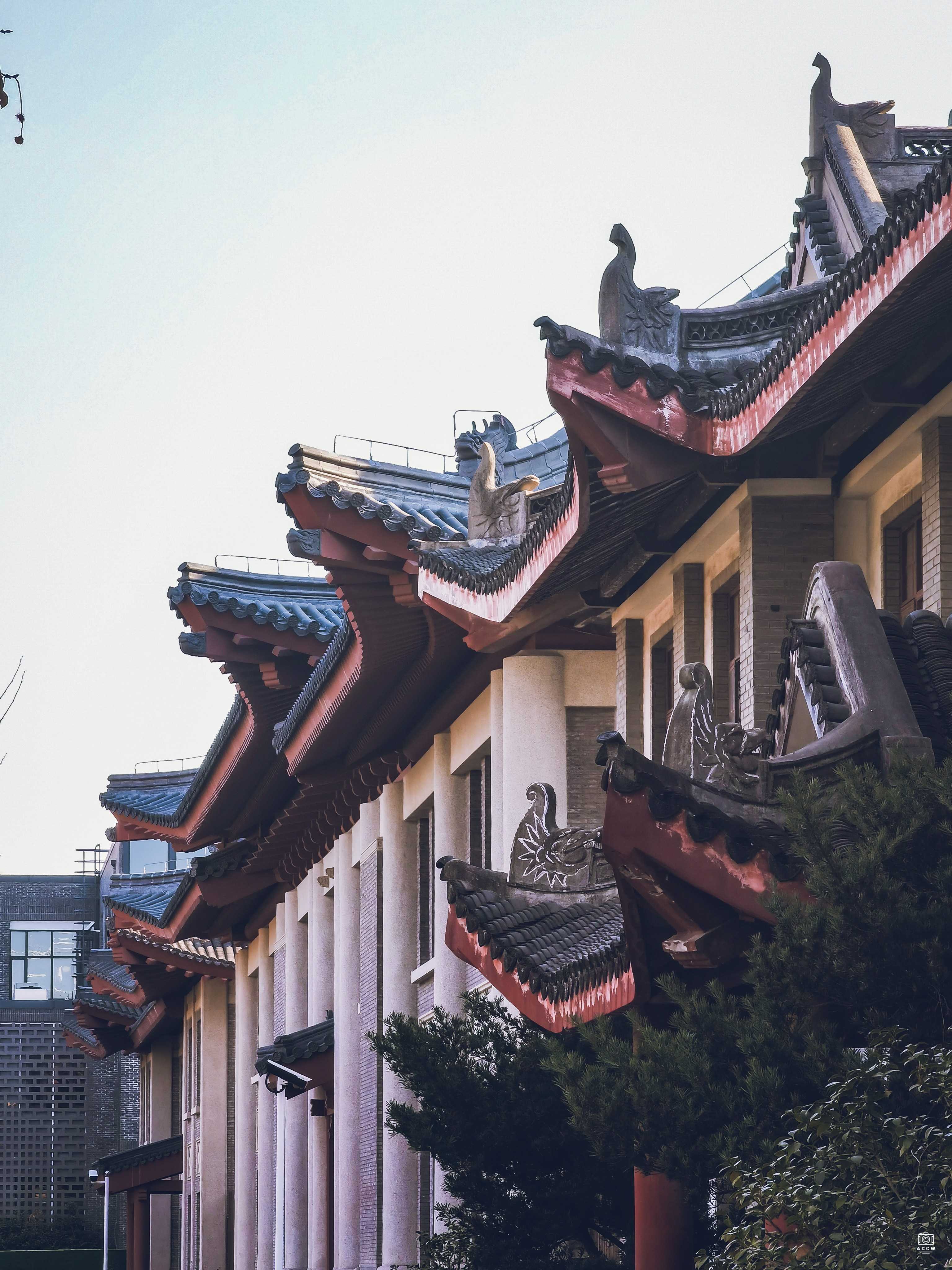 复旦大学历史建筑群-景莱堂 图片6