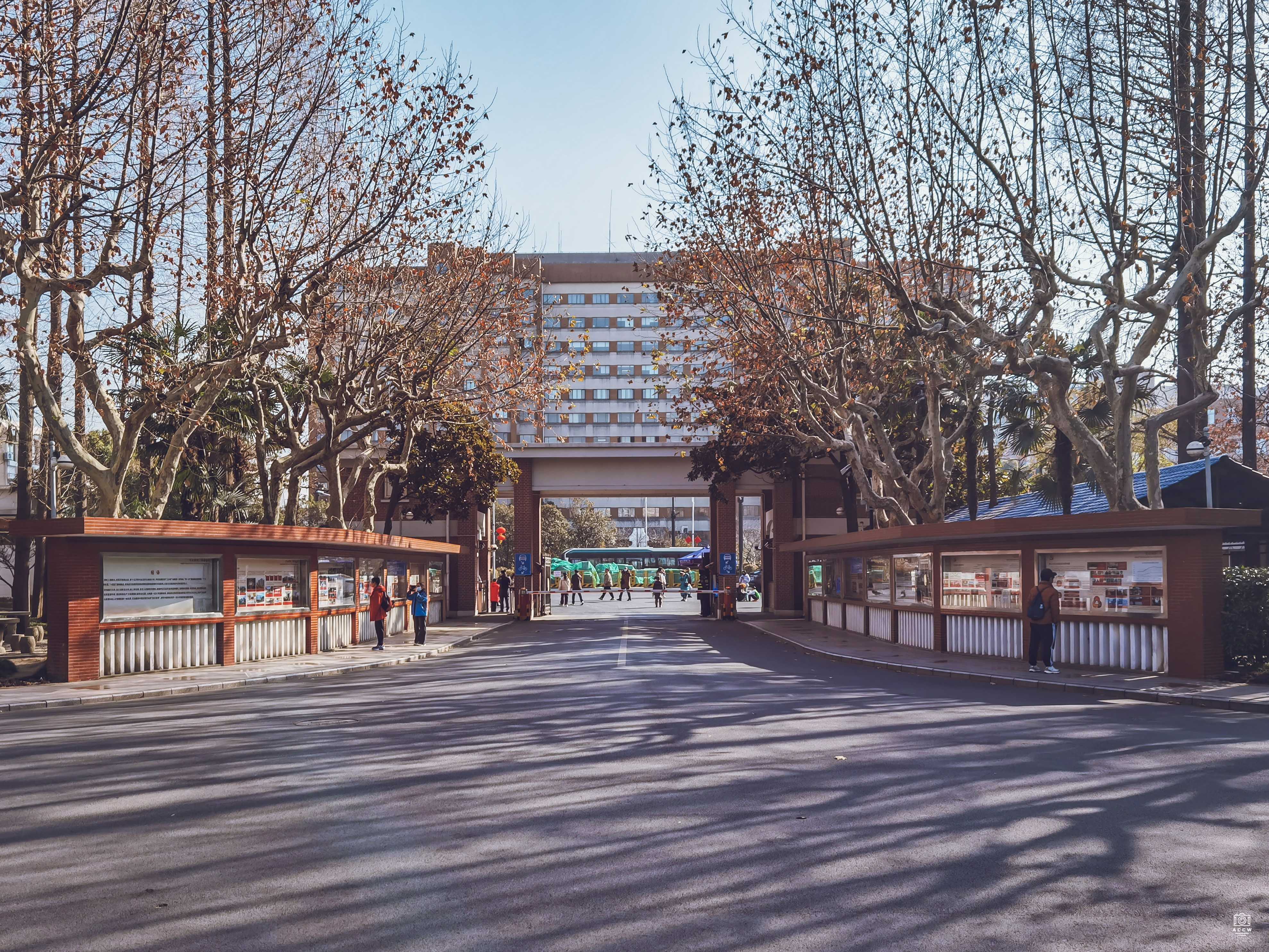 复旦大学历史建筑群-校门 图片6