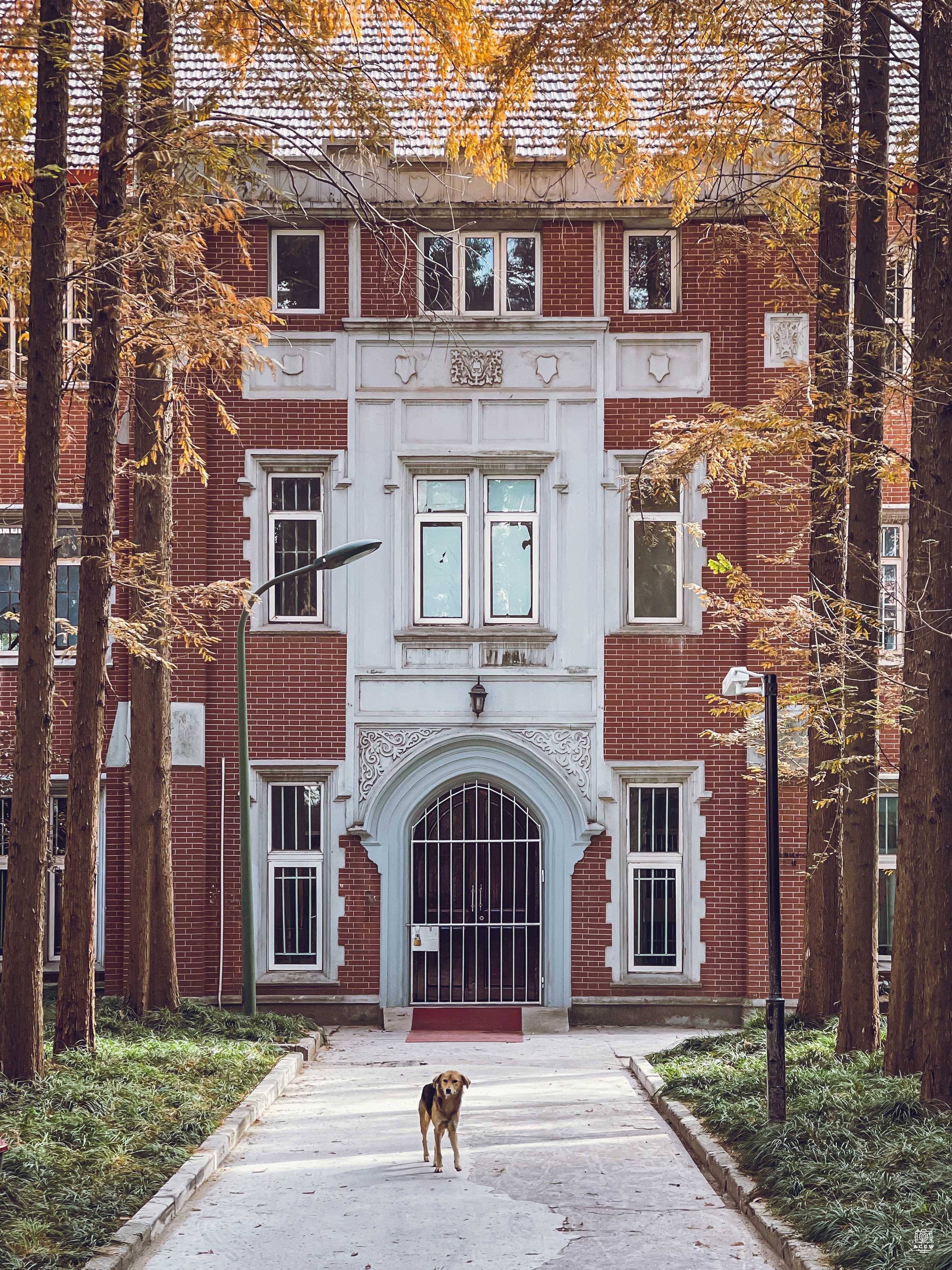 沪江大学-艾德蒙堂 图片2