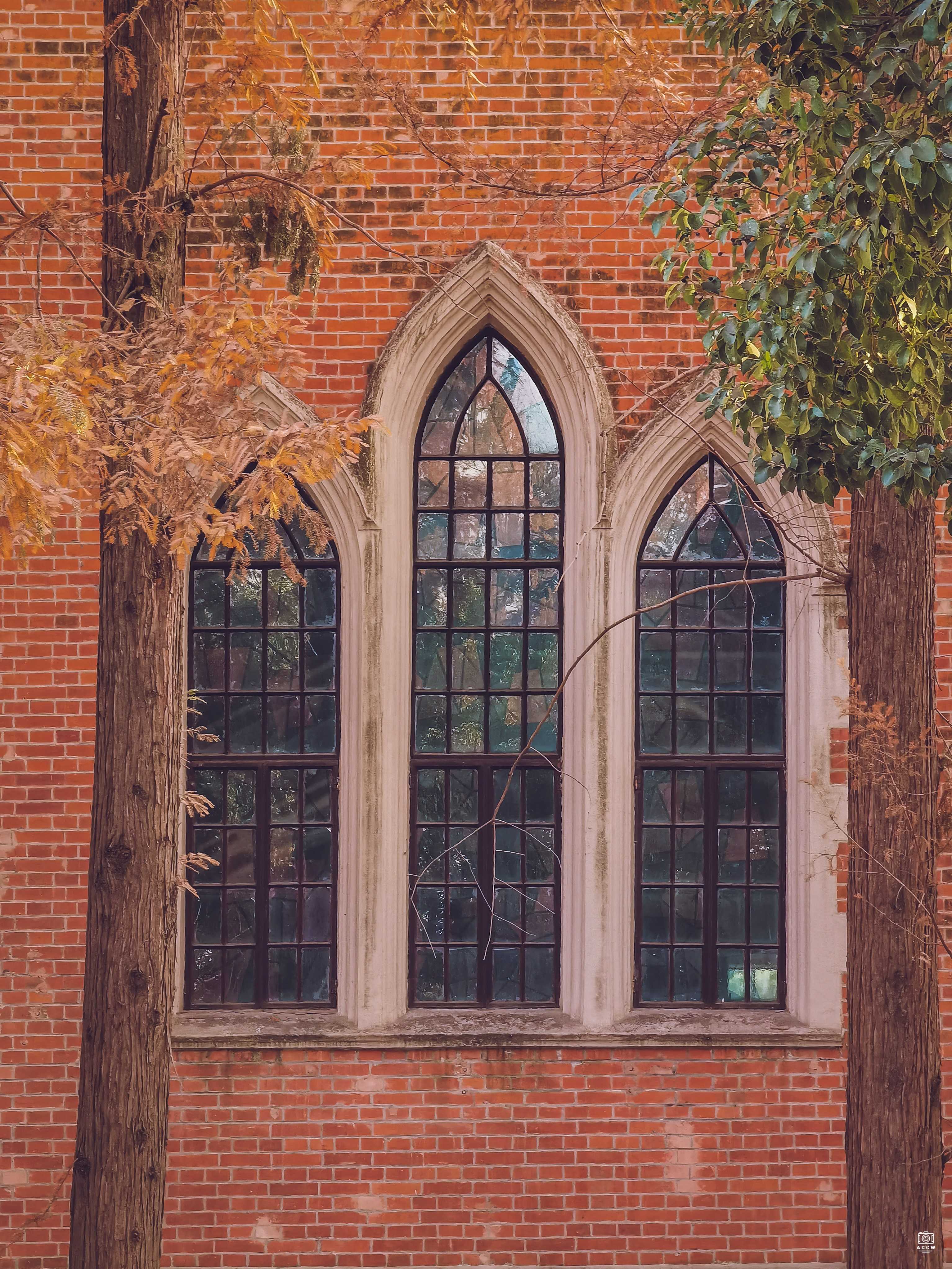 沪江大学-音乐堂 图片5