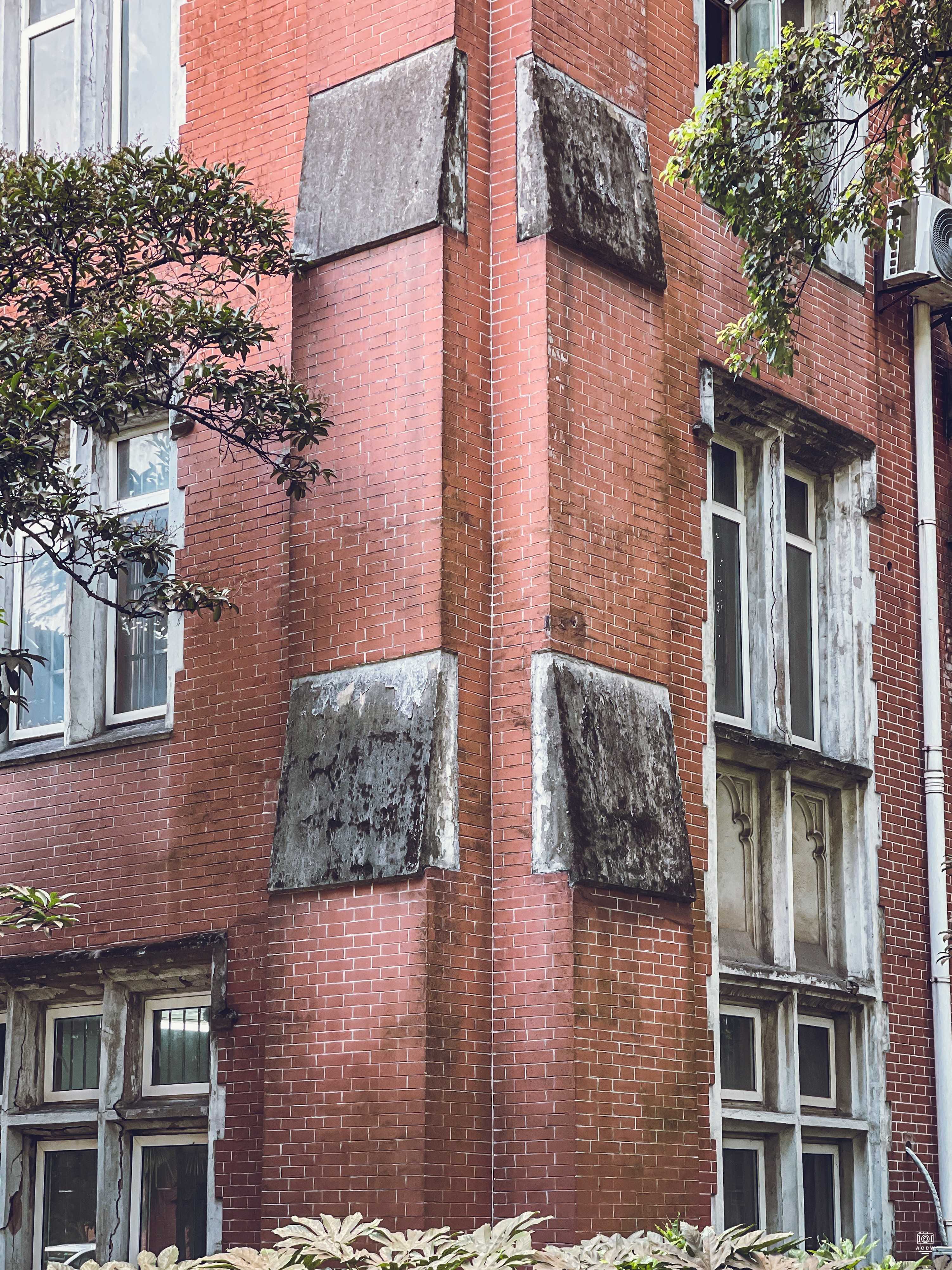 沪江大学-思雷堂 图片3