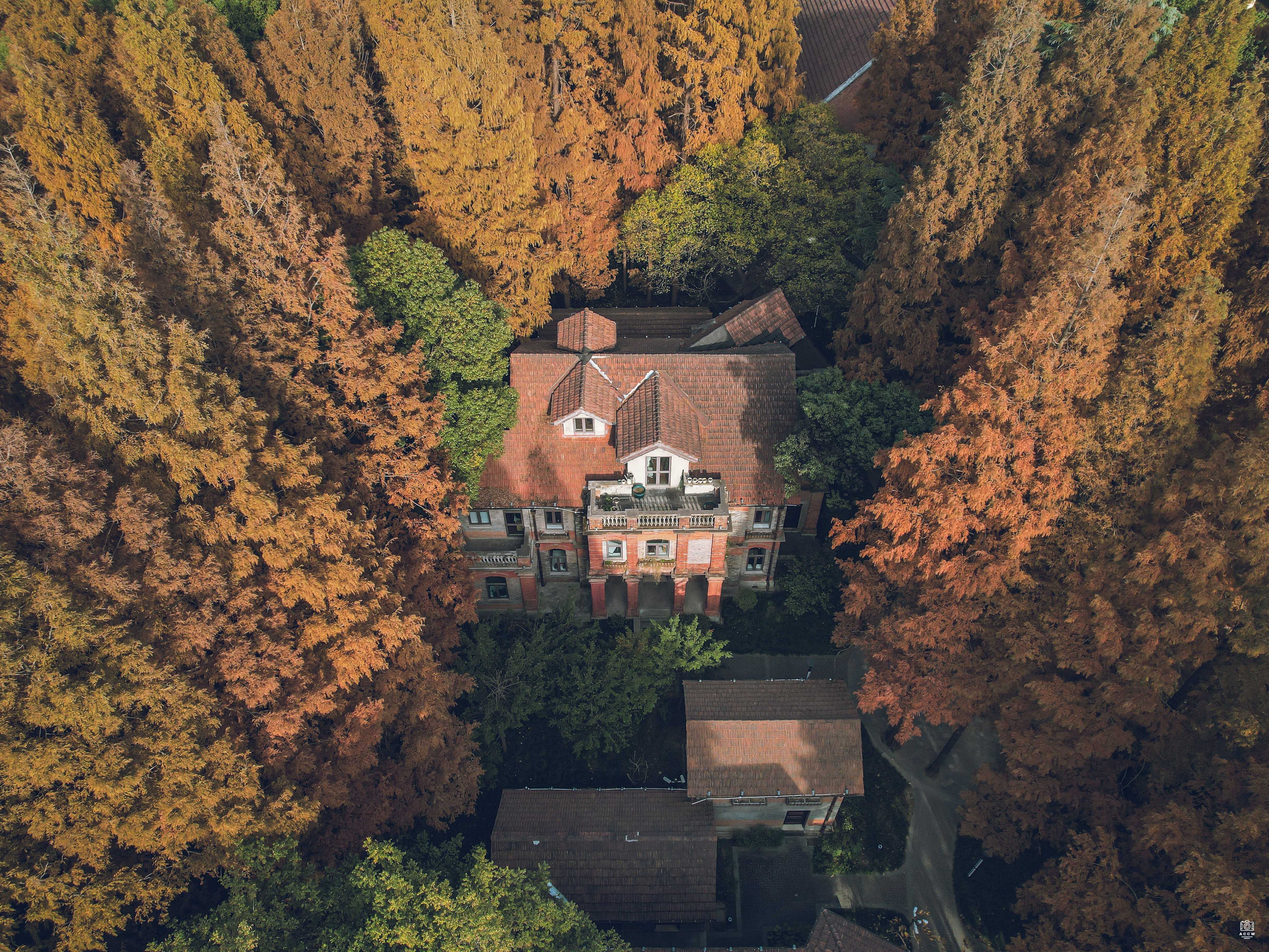 沪江大学-教员住宅201/202号 图片6