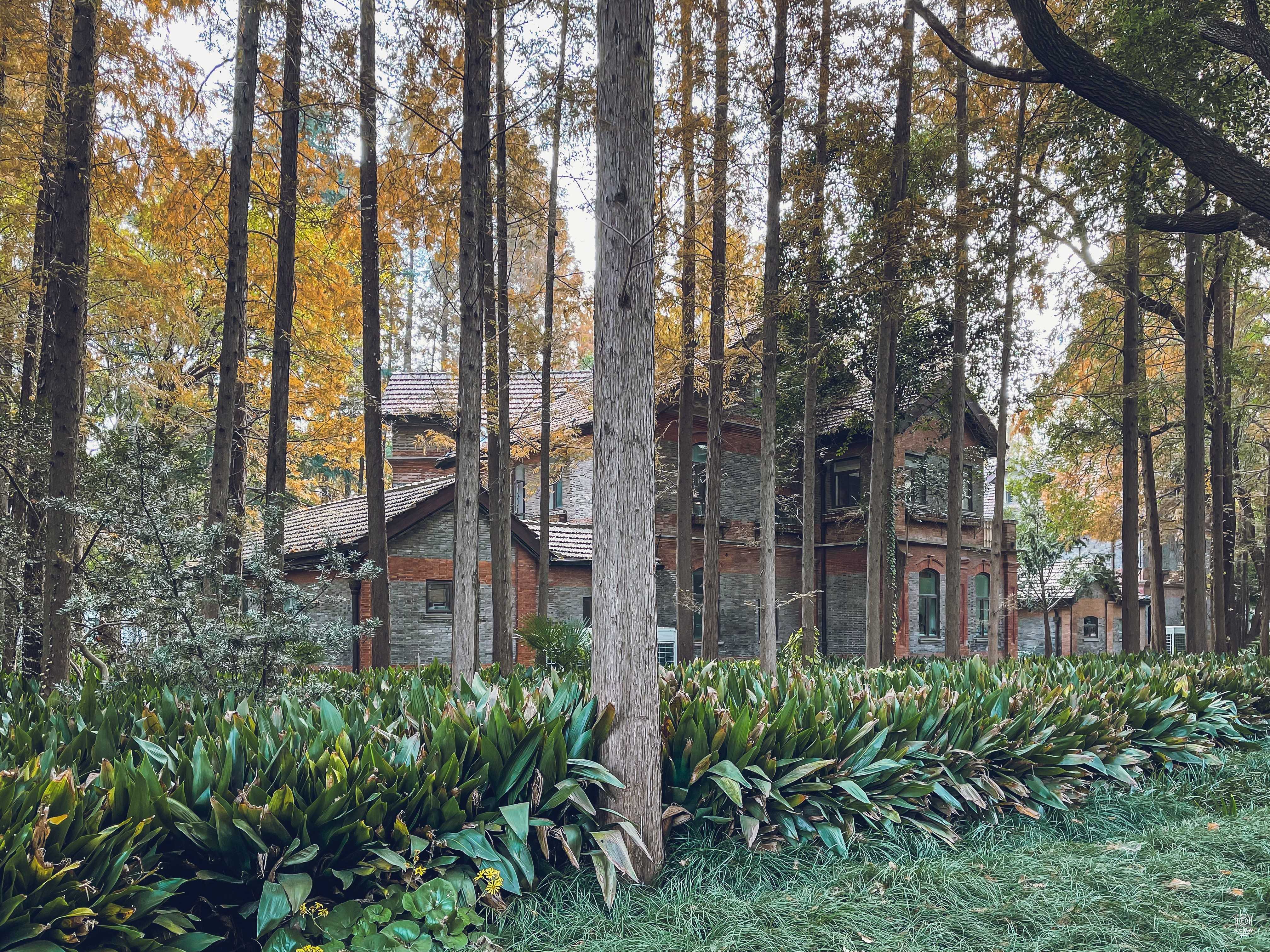 沪江大学-教员住宅203/204号 图片3
