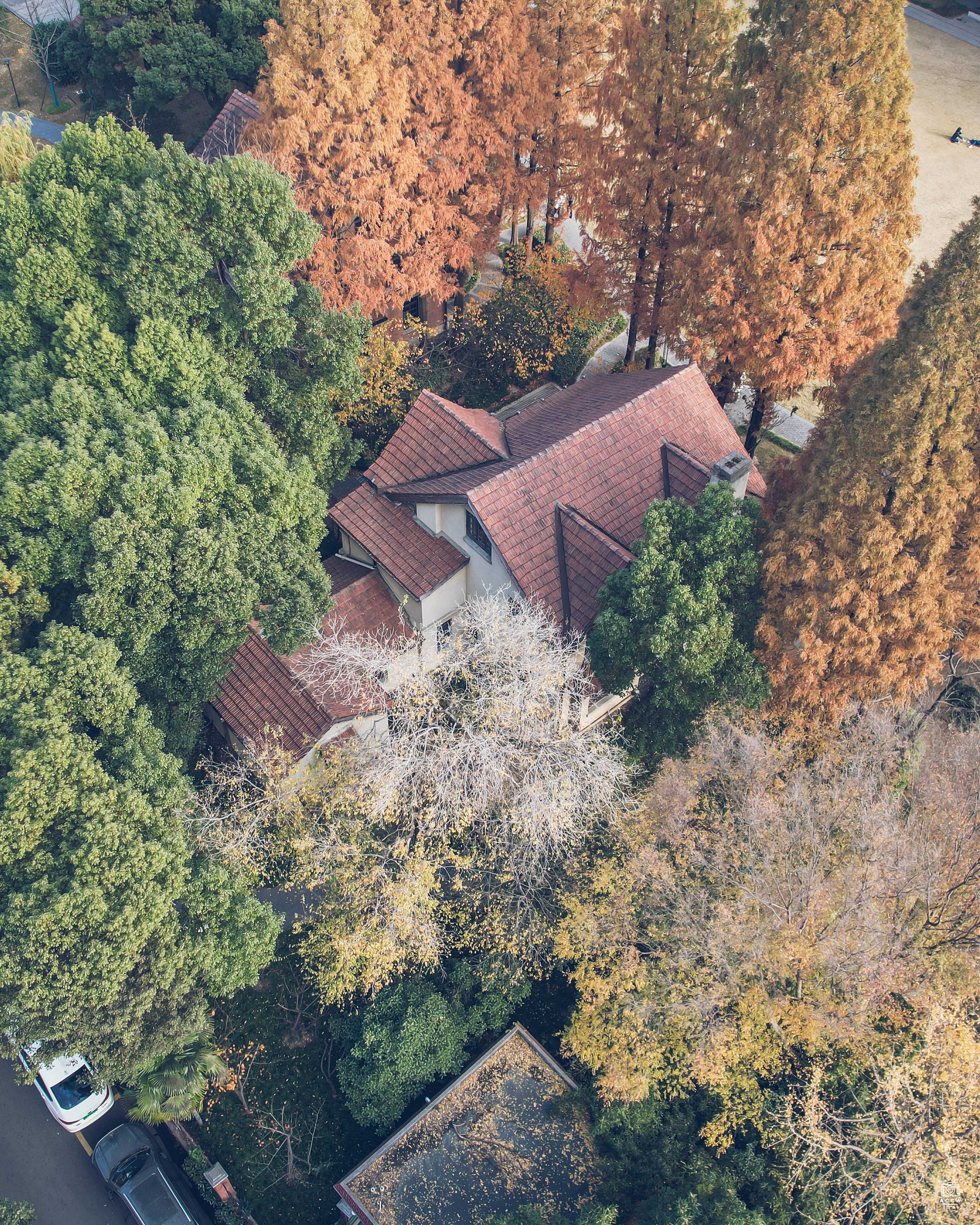 沪江大学-教员住宅208号 - 历史老房子封面图