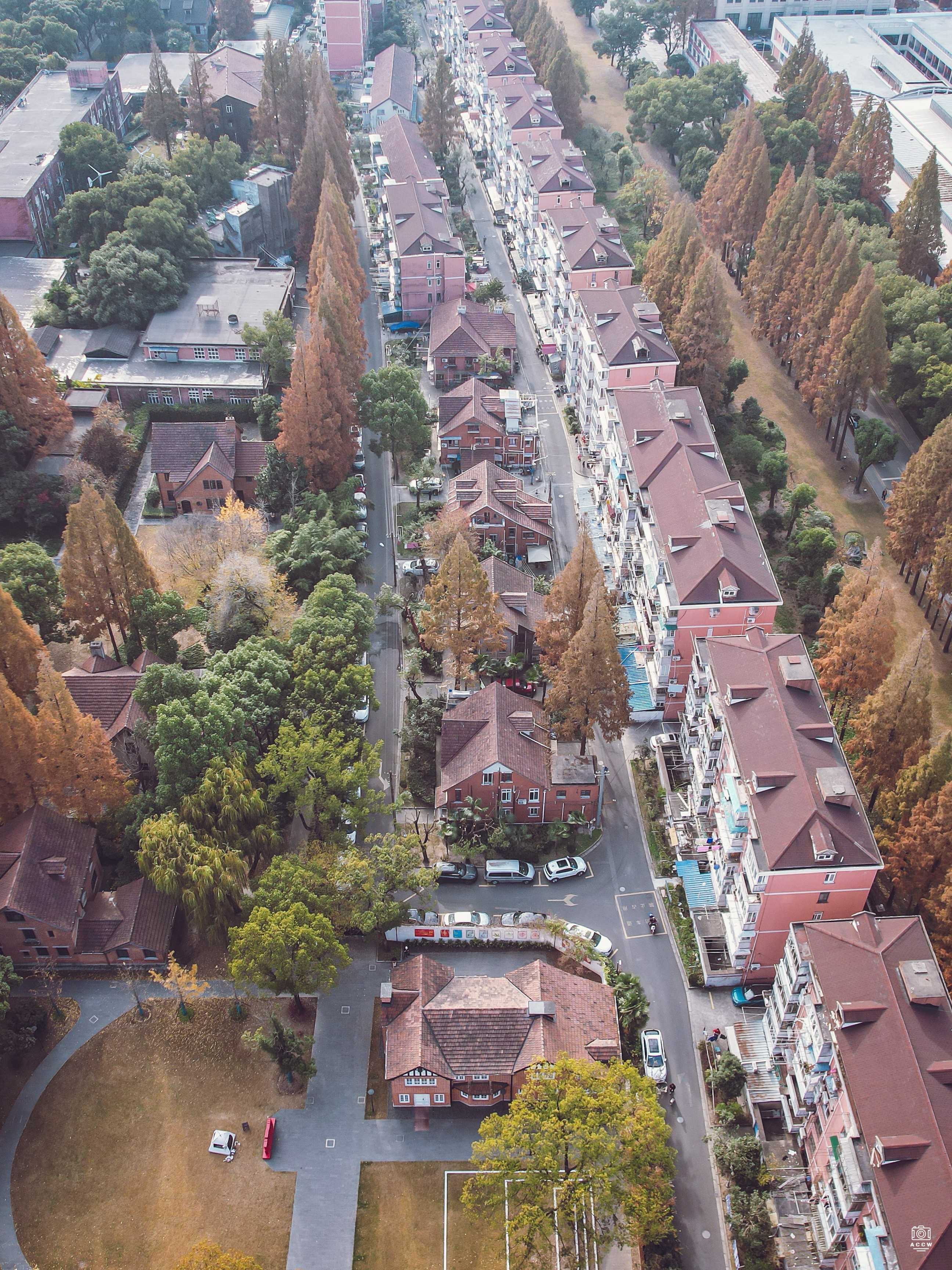 沪江大学-109-114号家属楼 - 历史老房子封面图
