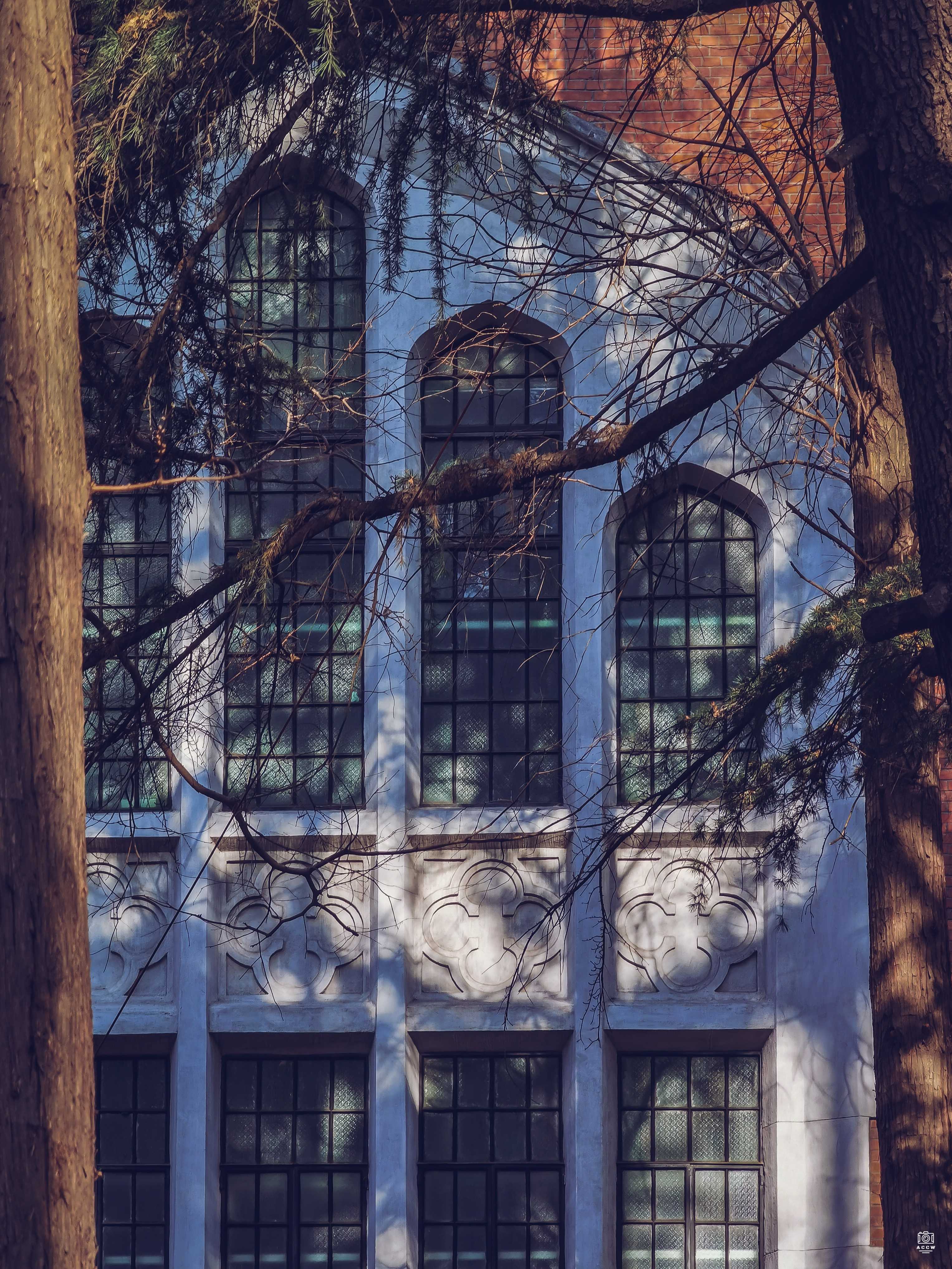 沪江大学-大礼堂与思魏堂 图片3