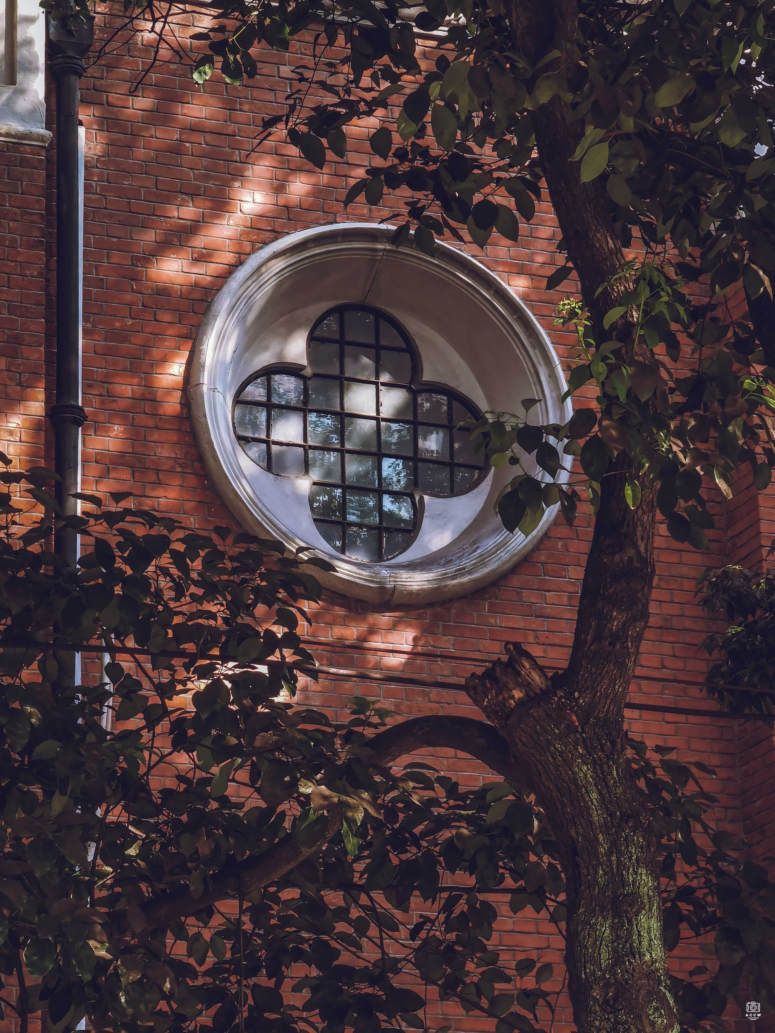 沪江大学-大礼堂与思魏堂 图片4
