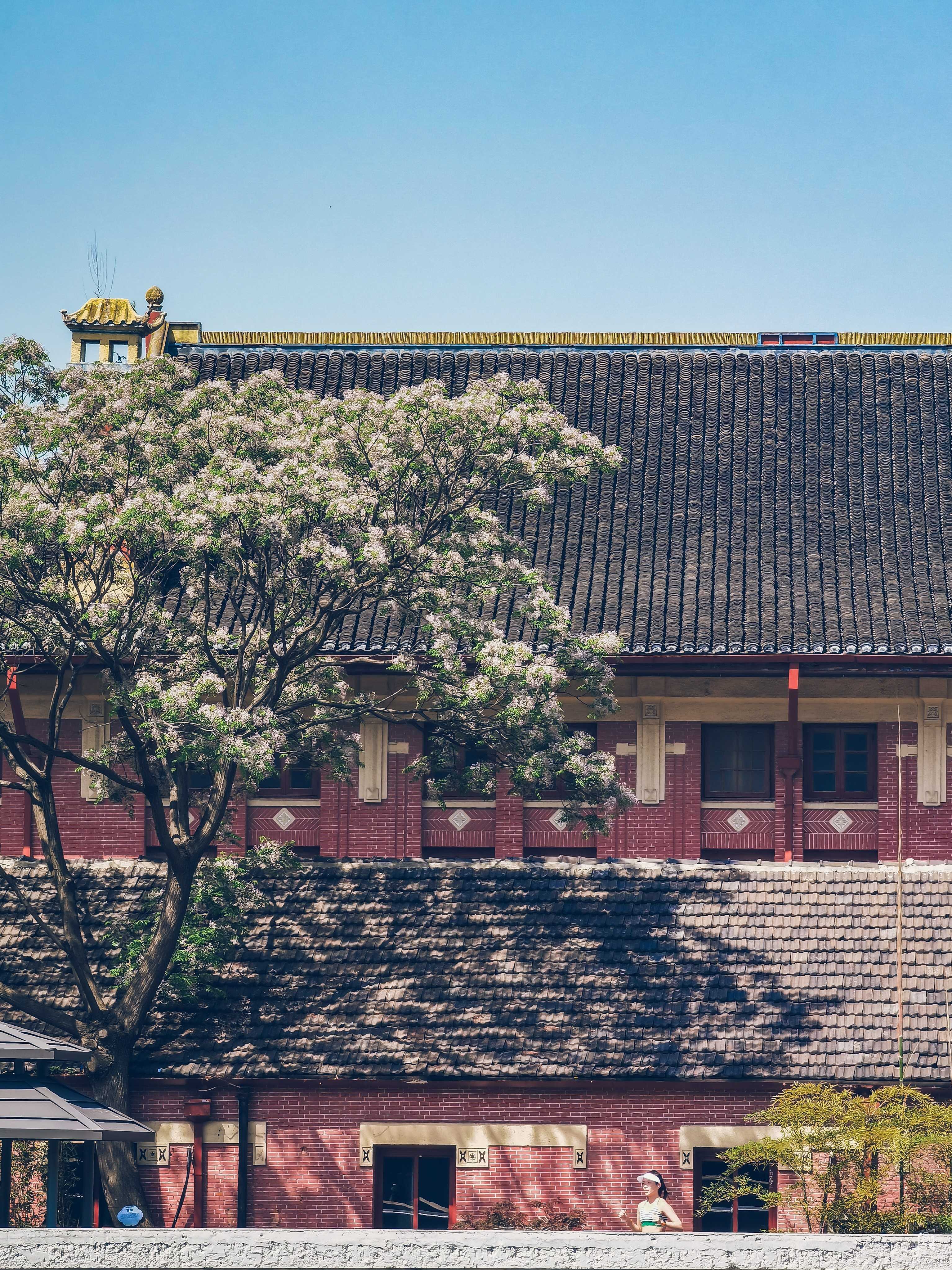 圣约翰大学-顾斐德纪念体育室 图片3