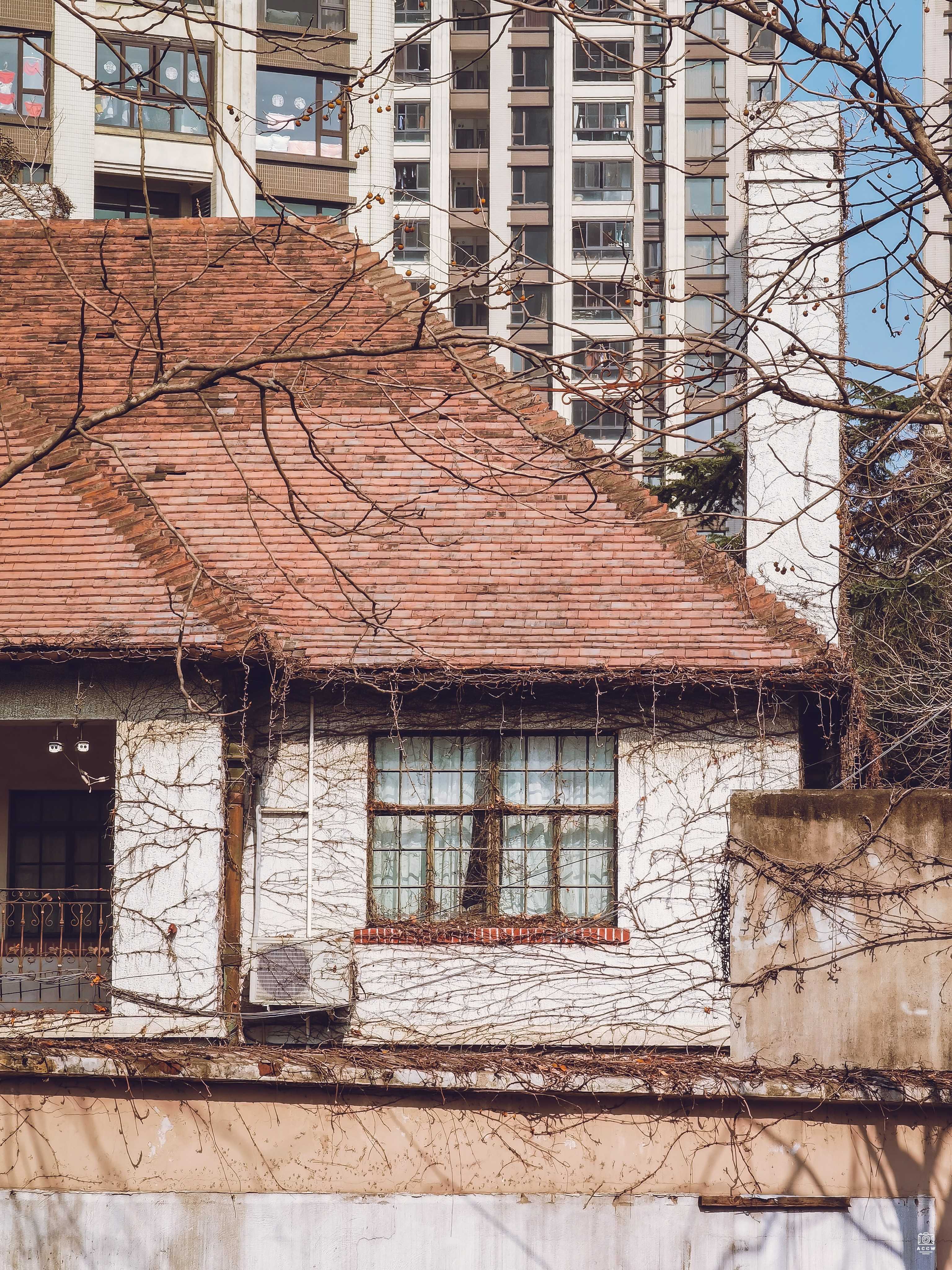 上海密丰绒线厂-住宅区 图片3