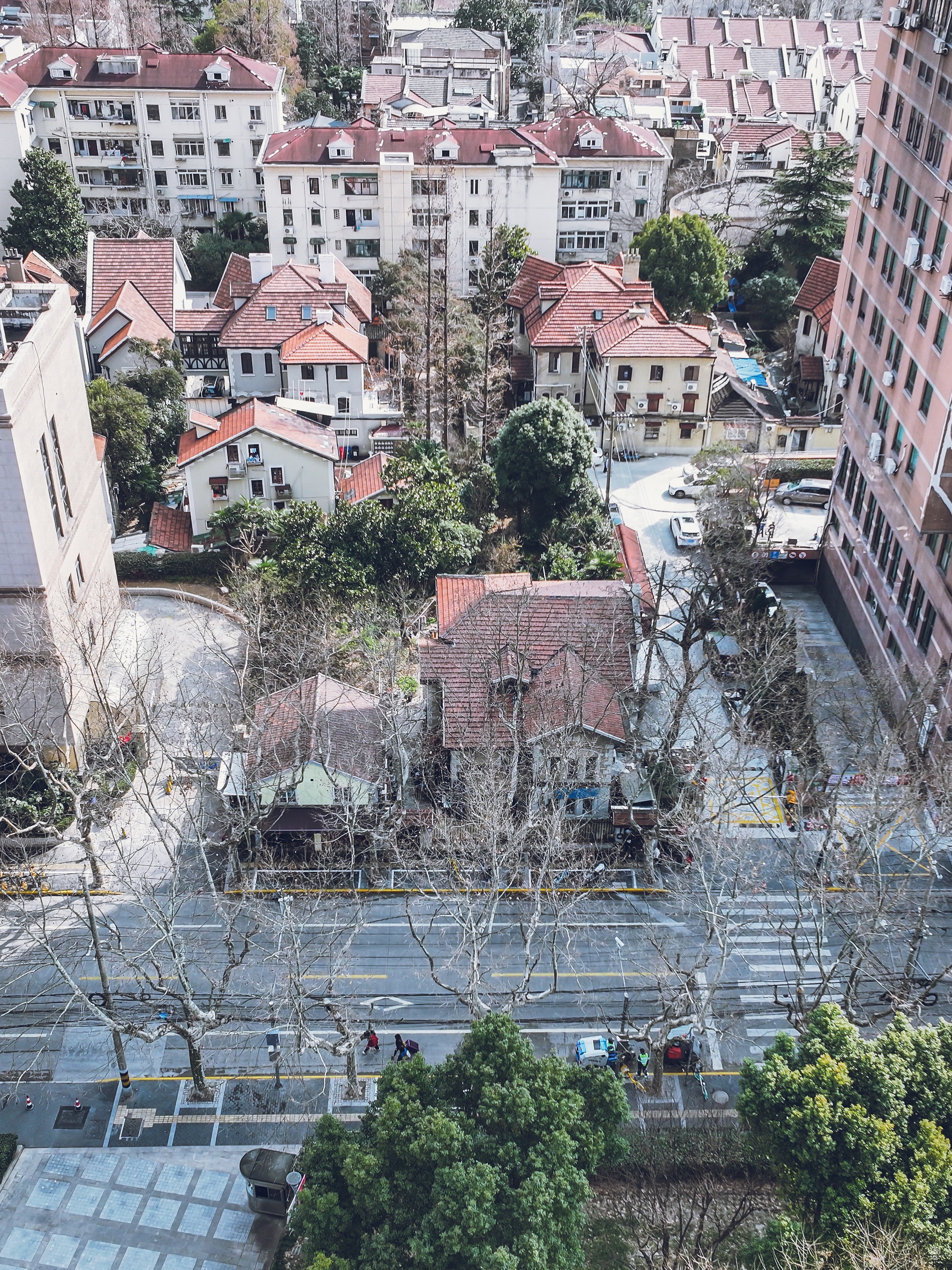 永嘉路37号住宅 图片4