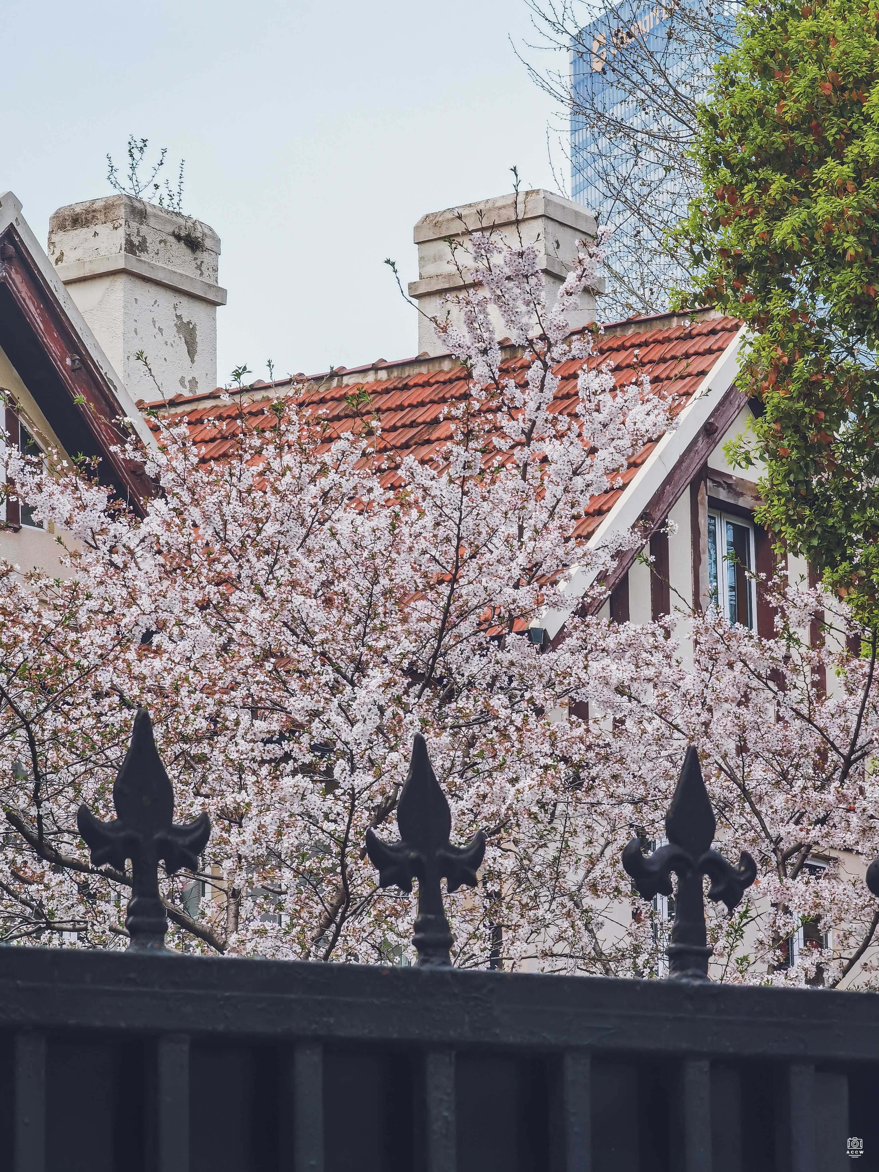 刘氏花园住宅 图片3