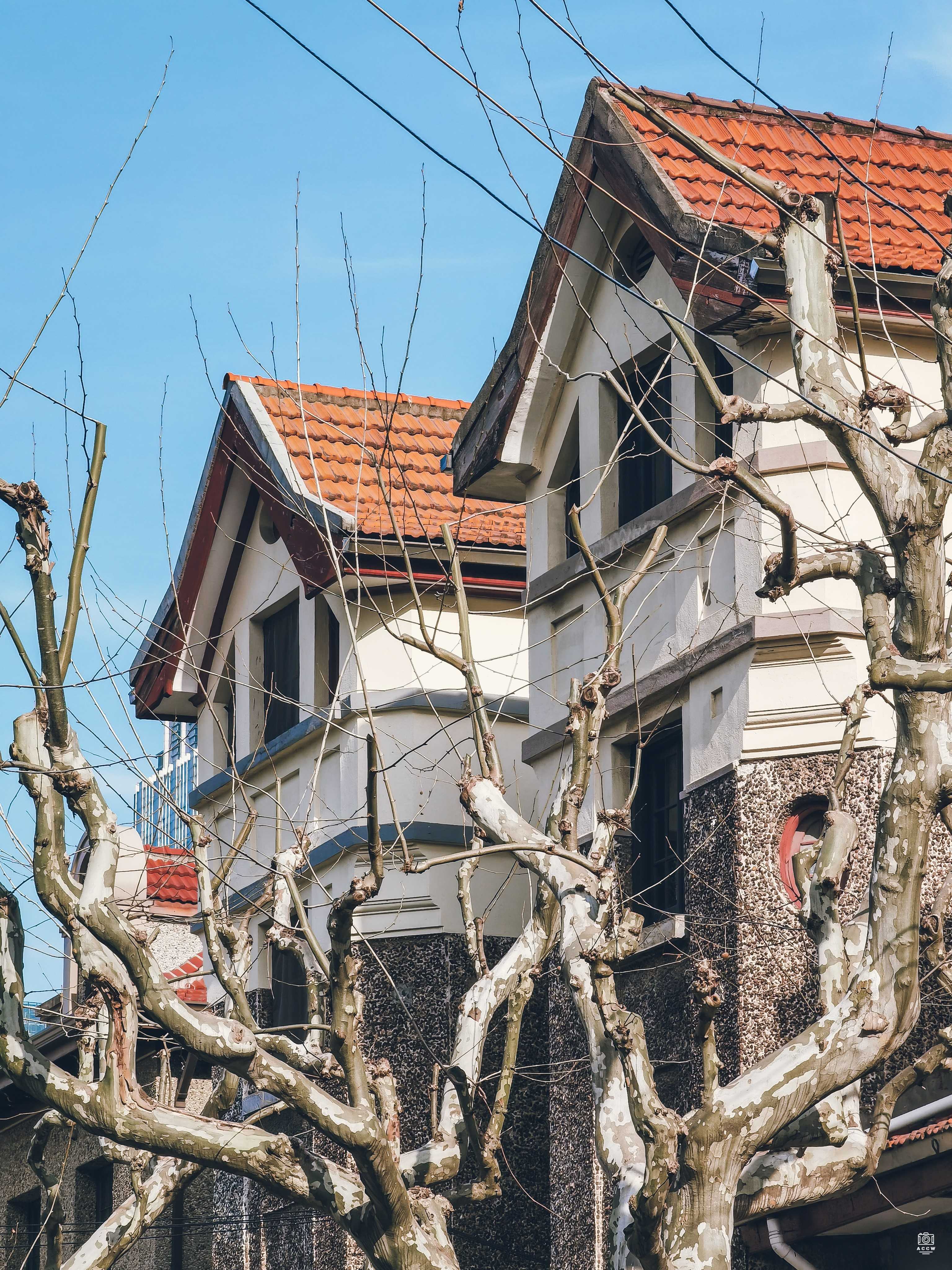延庆路/华亭路花园住宅群-2 图片6