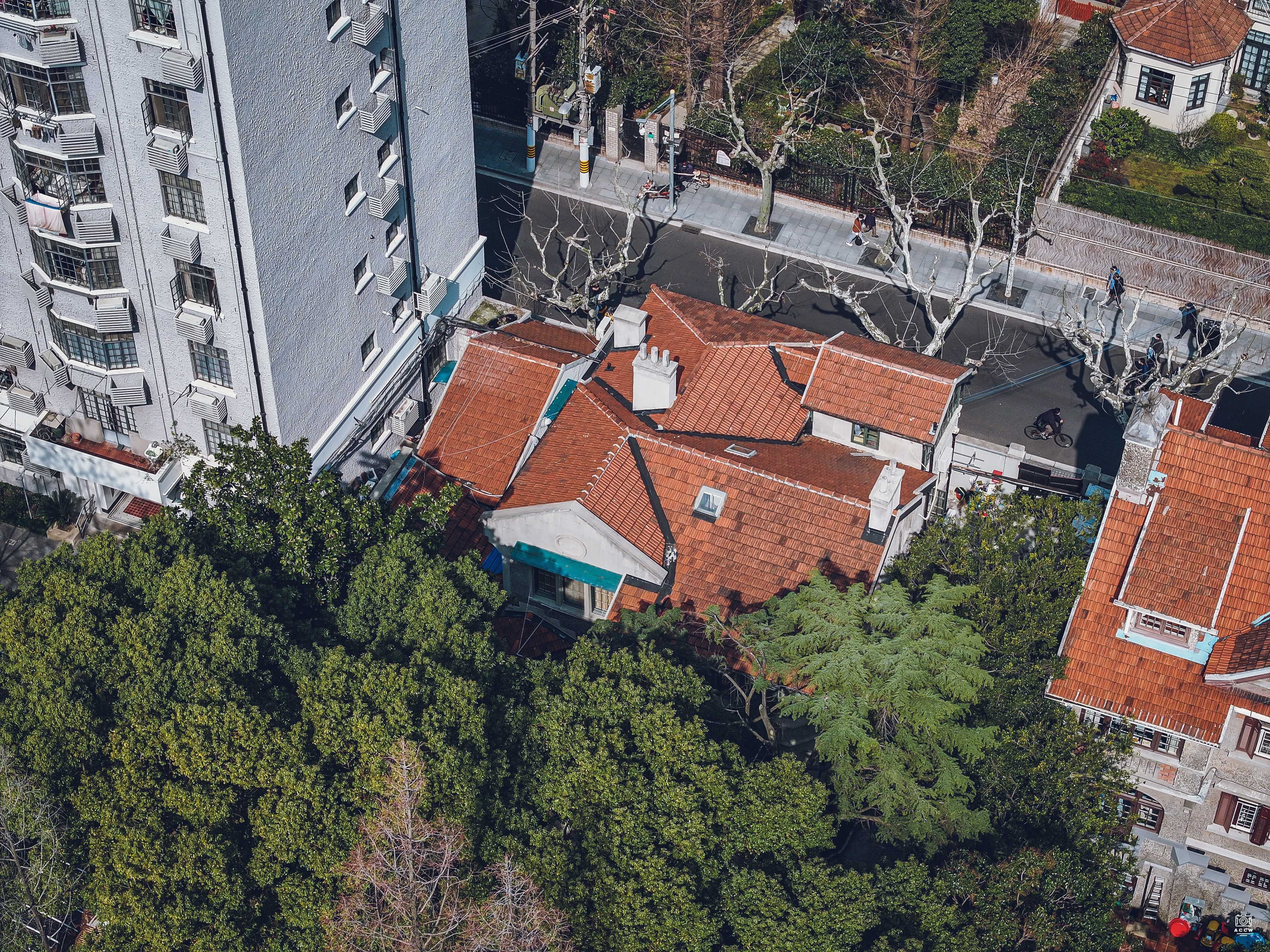 延庆路159号洋房 图片6
