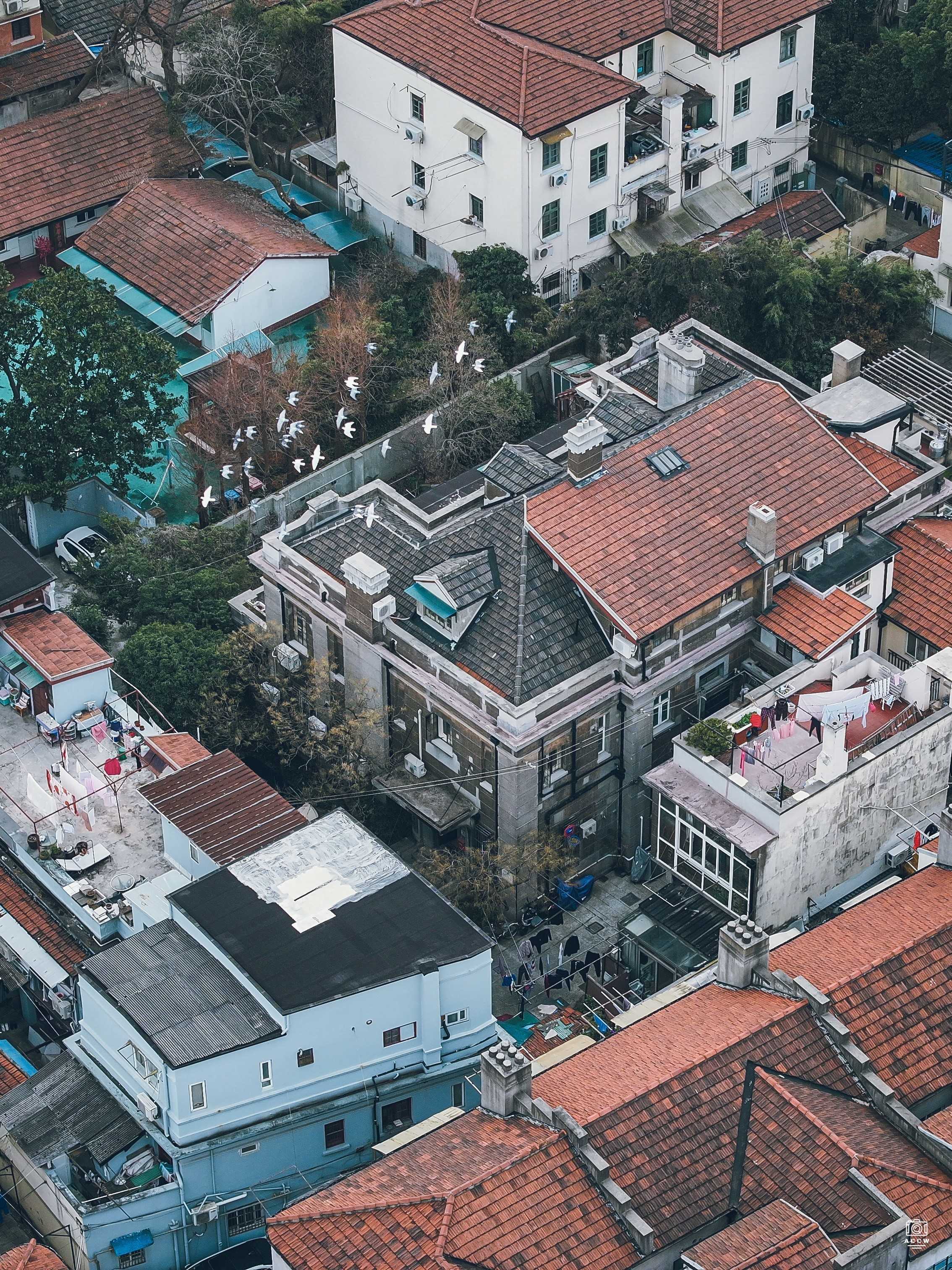 格罗疗养院/剑桥医院 - 历史老房子封面图