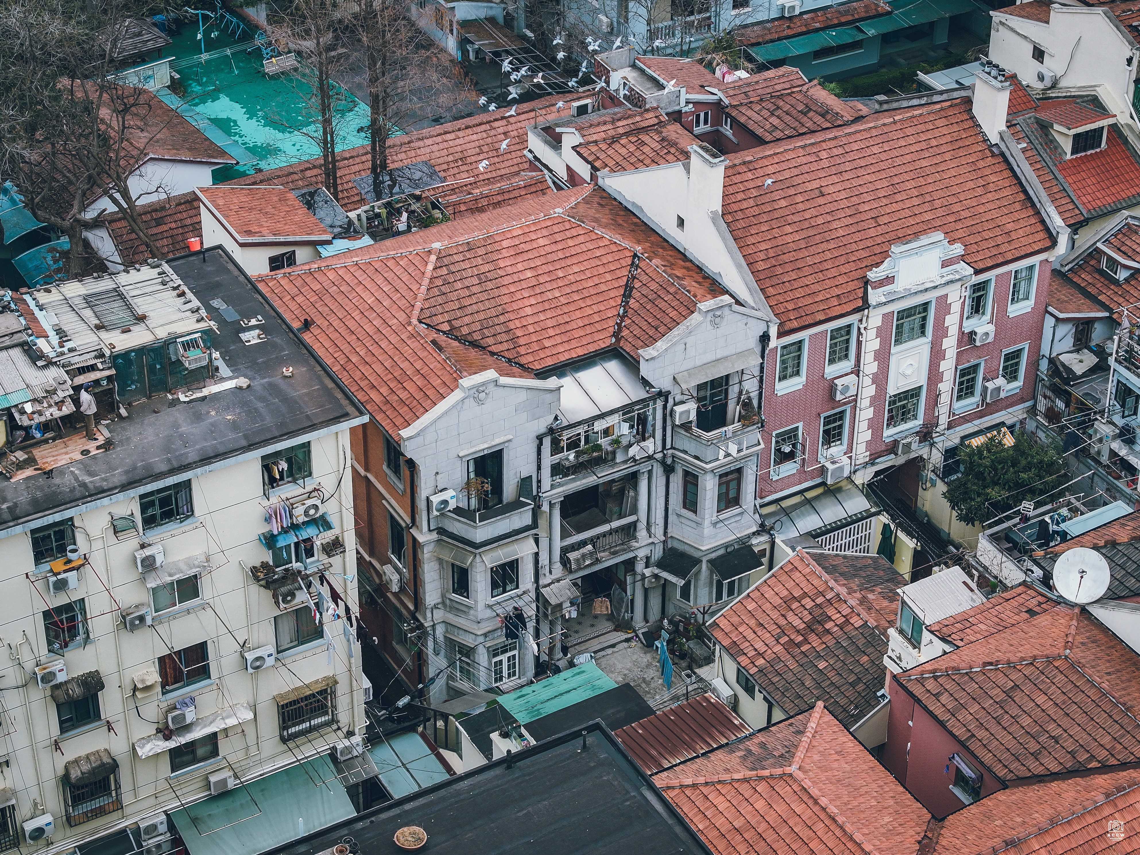 延庆路80-84号住宅 图片6