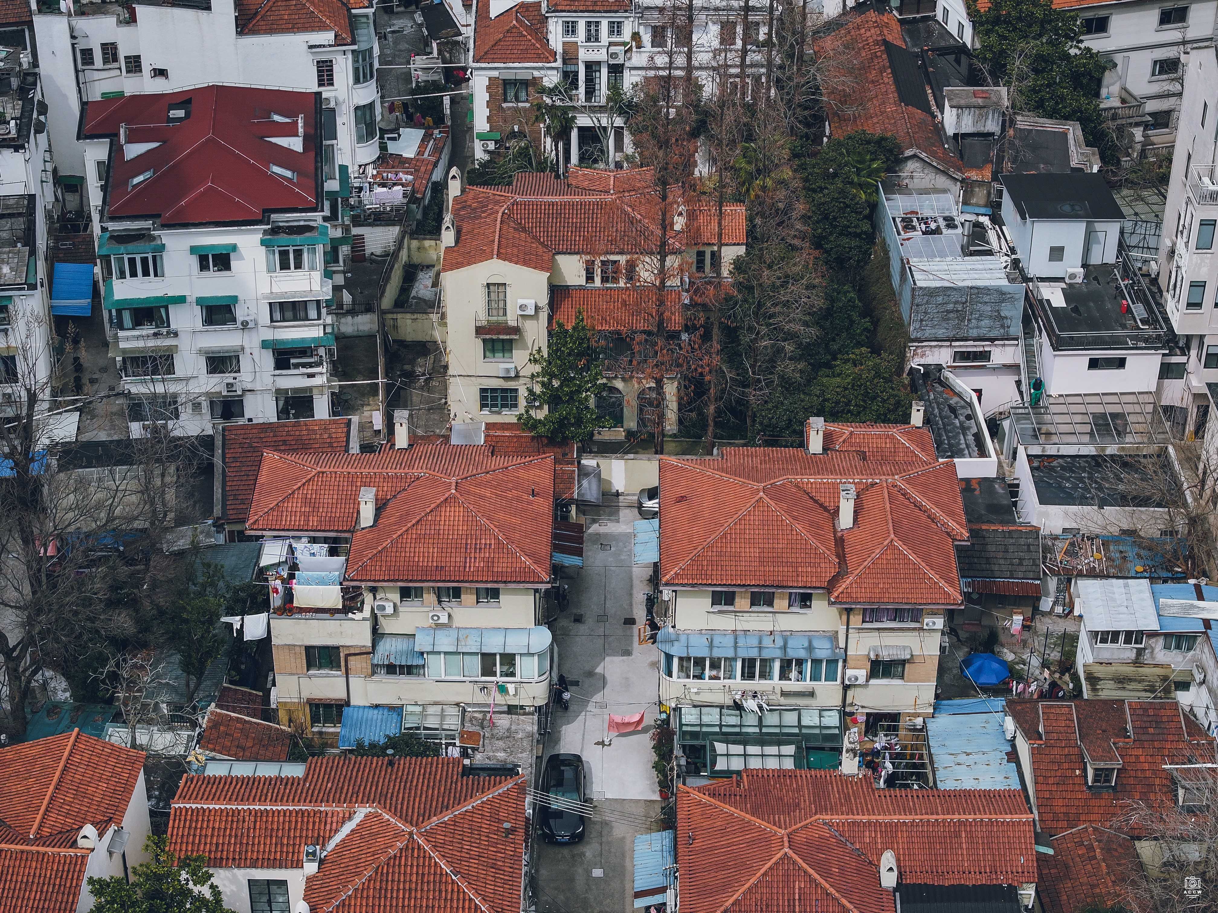 蒲园 图片2