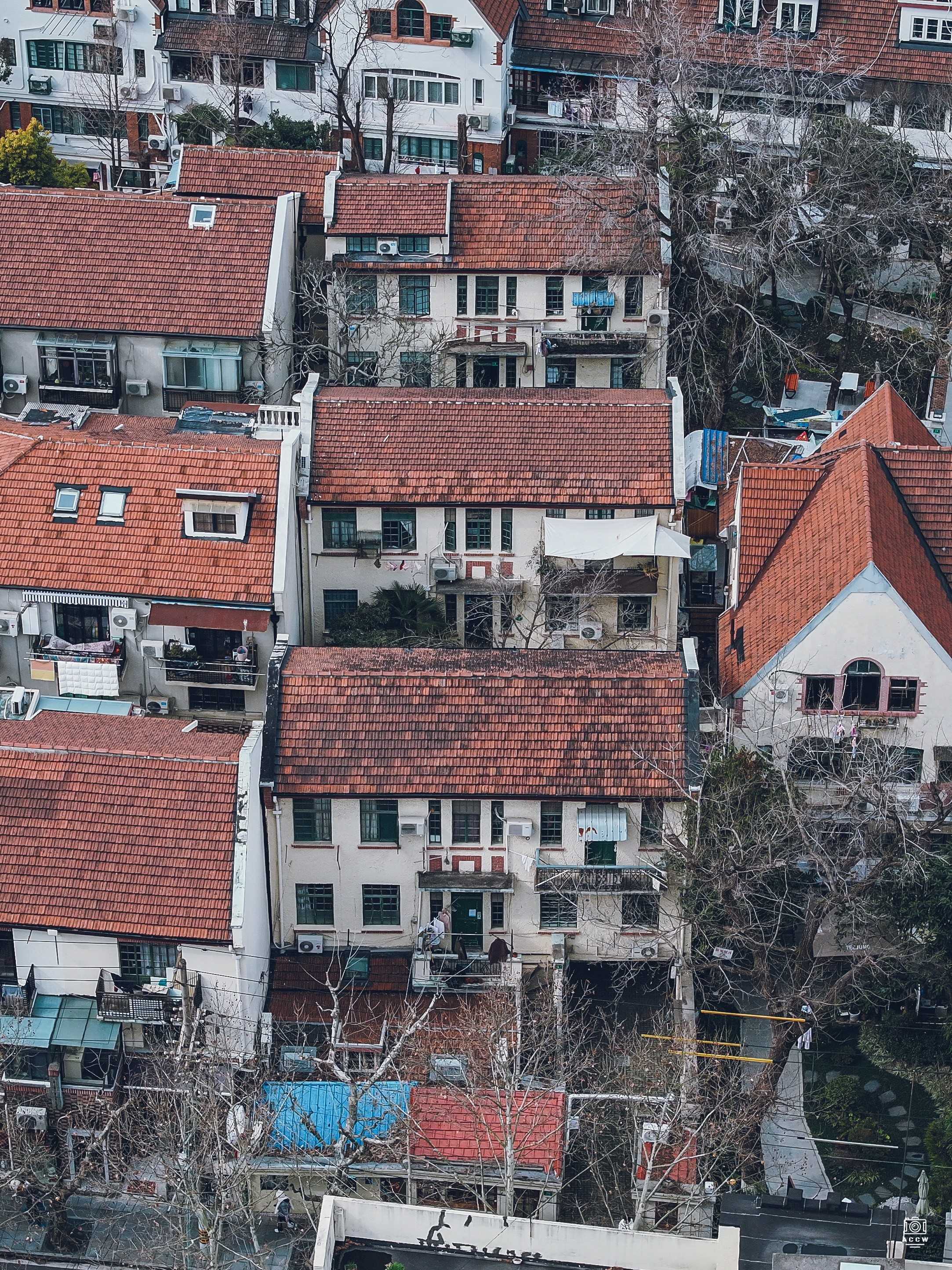 新乐路34-36弄住宅 图片4