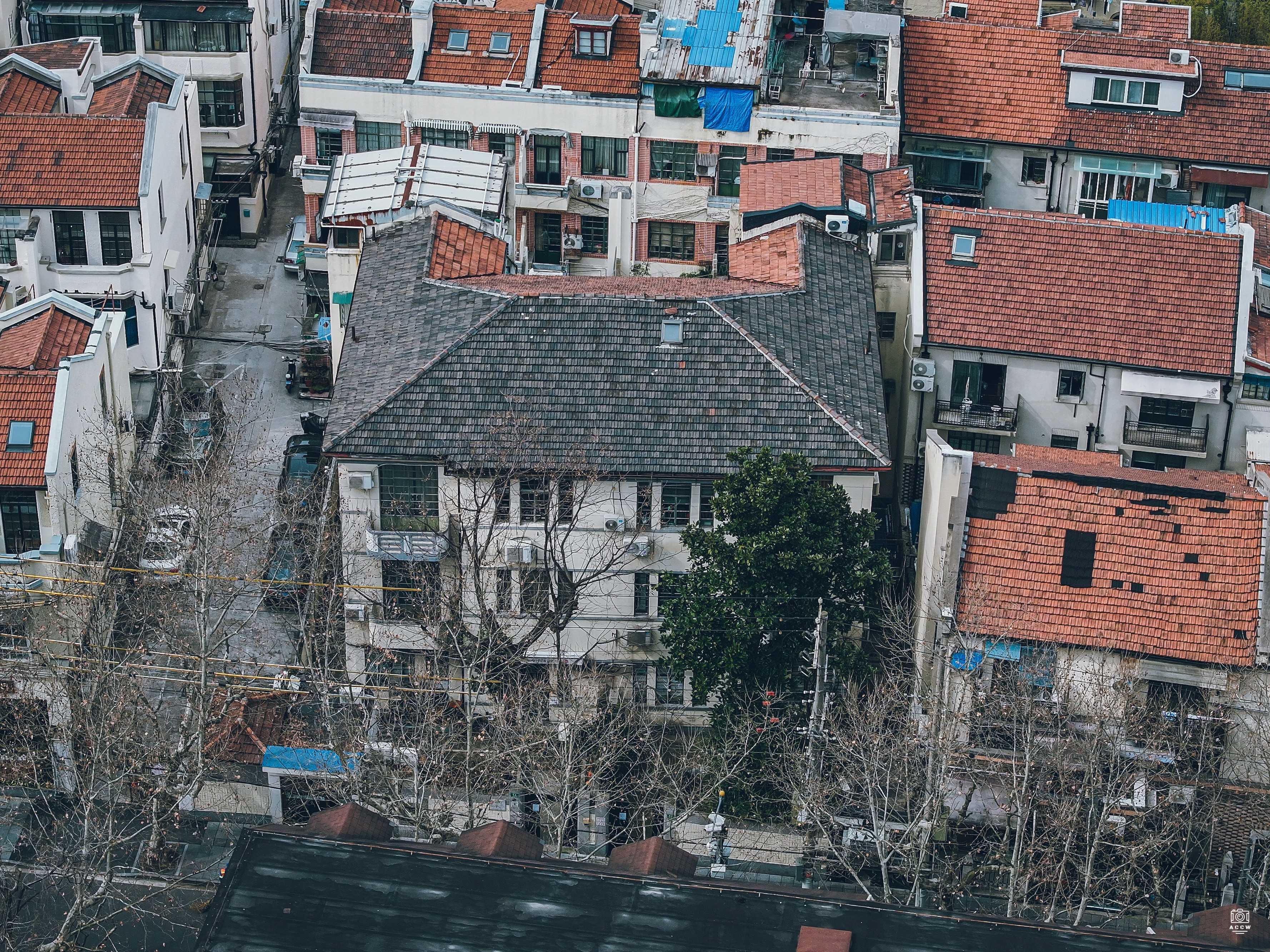 新乐路54号住宅 图片3