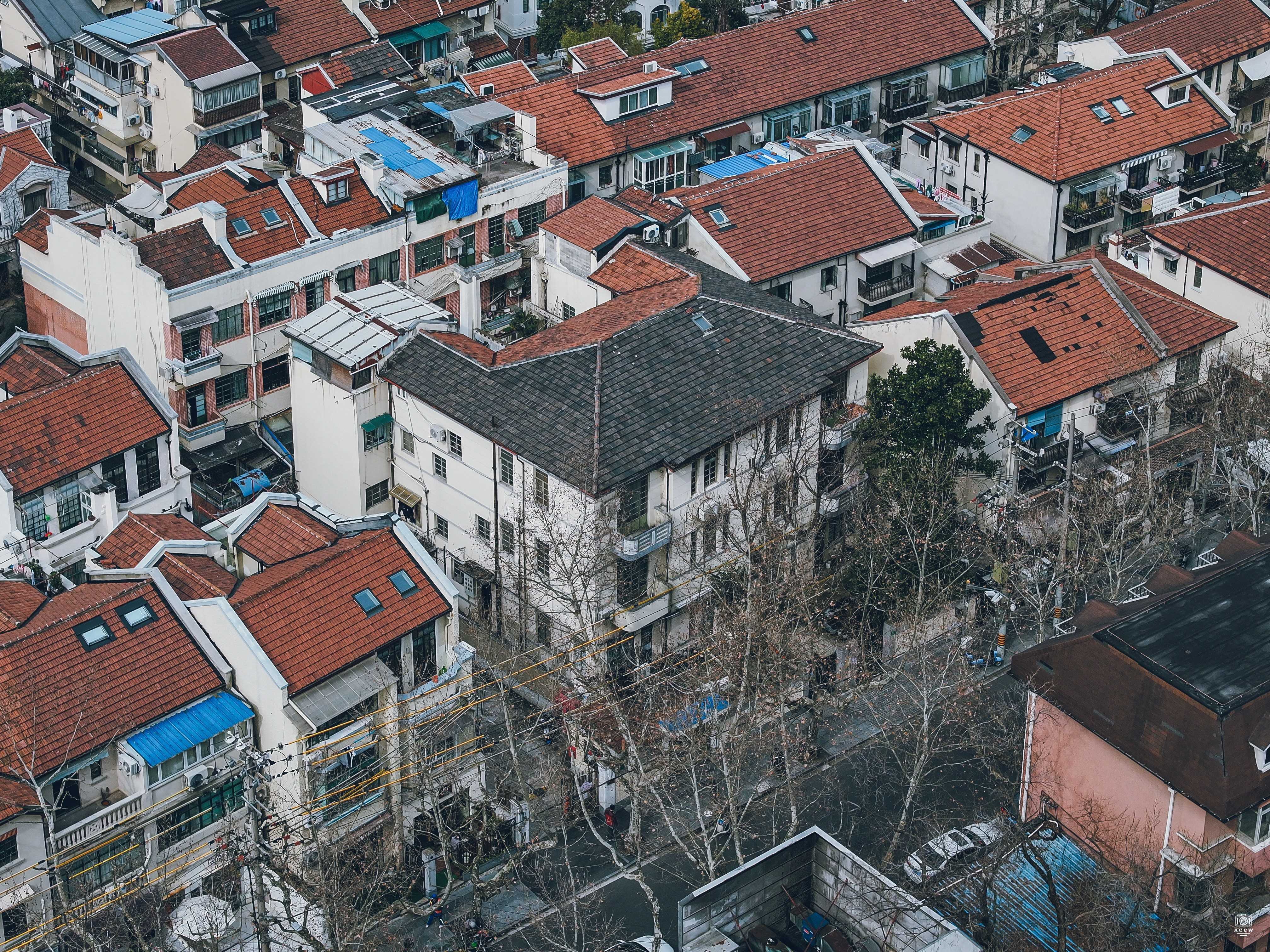 新乐路54号住宅 图片4