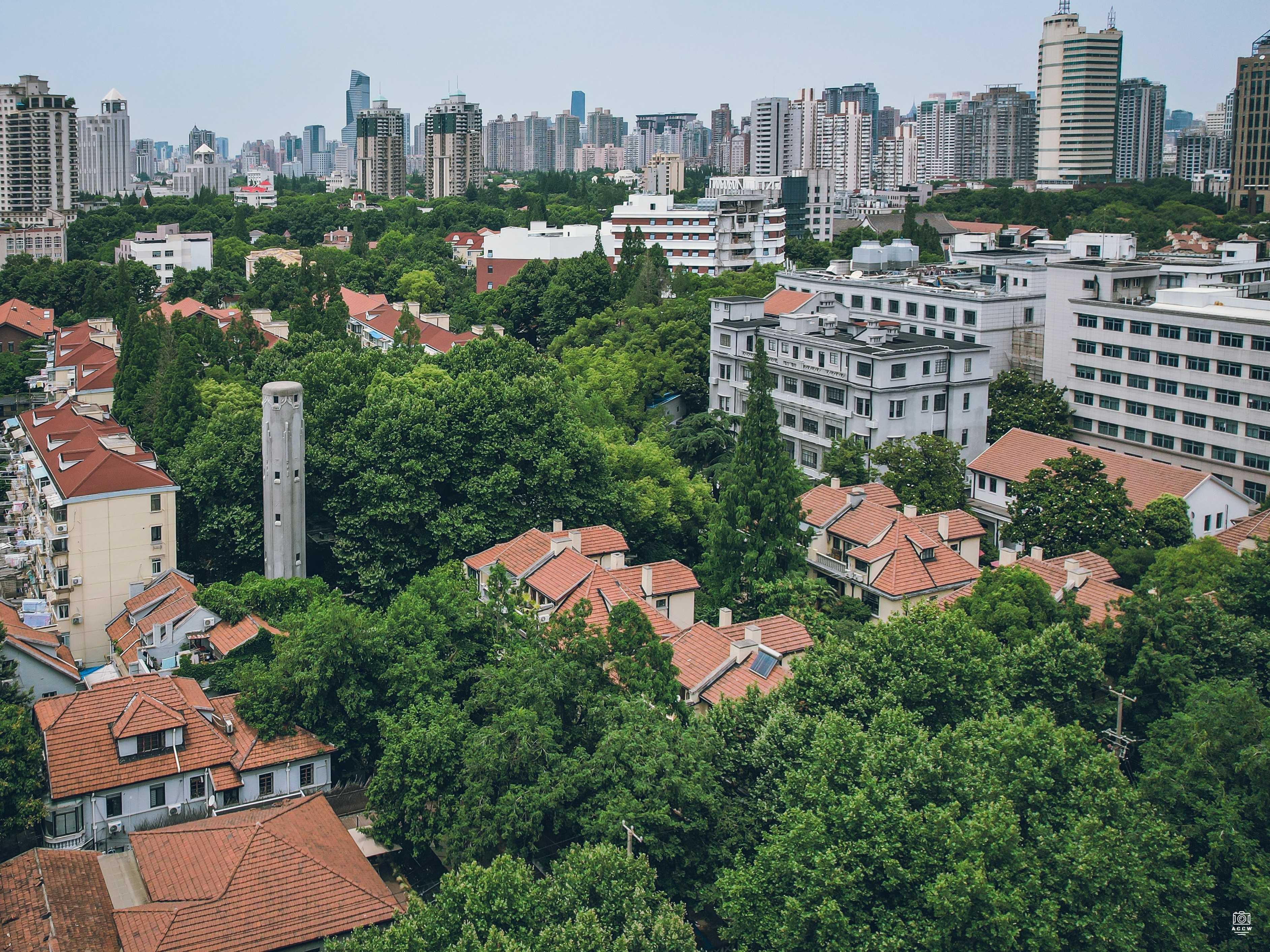 三德堂及水塔 图片6
