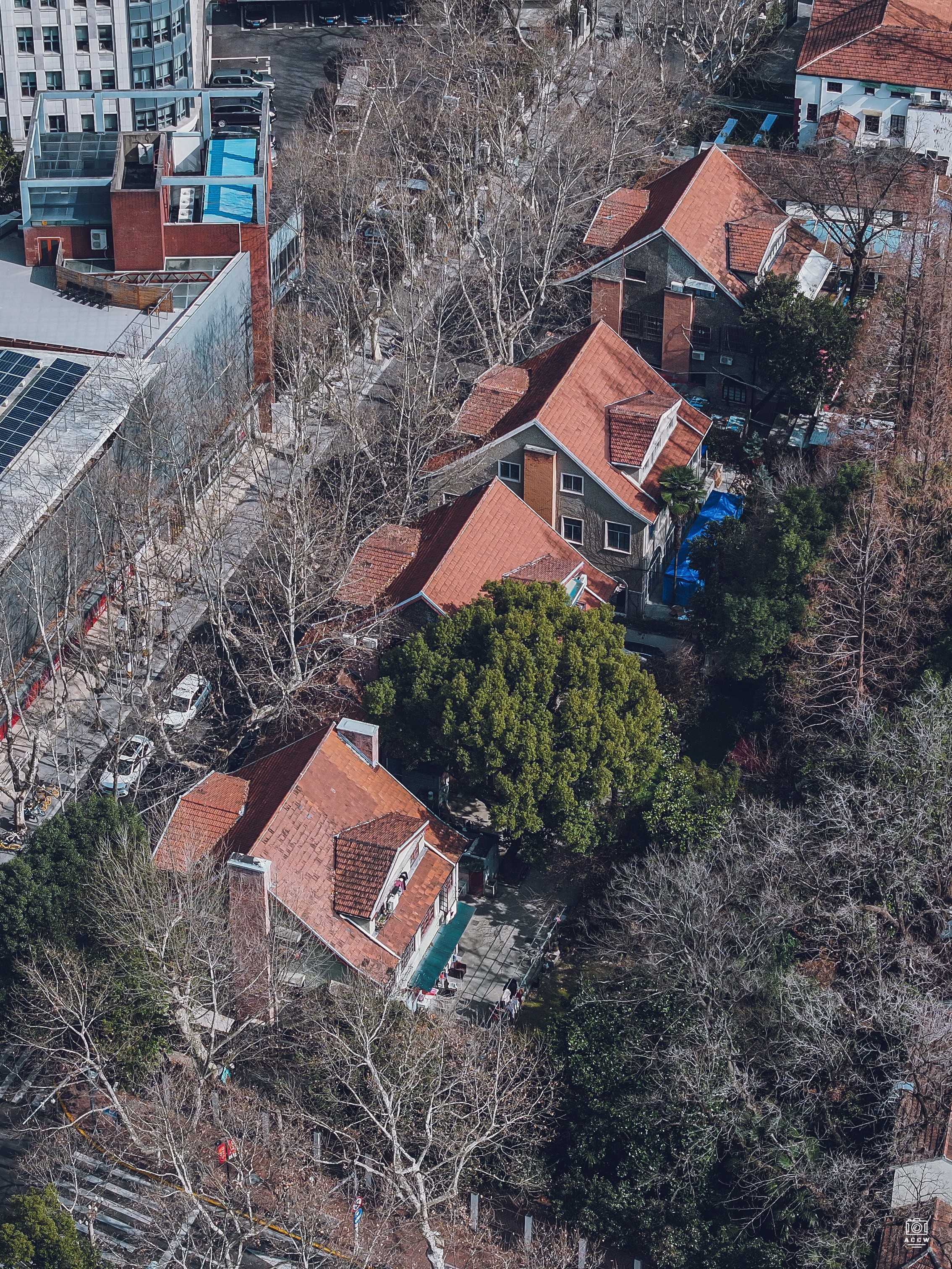 桃江路7-25号住宅 - 历史老房子封面图