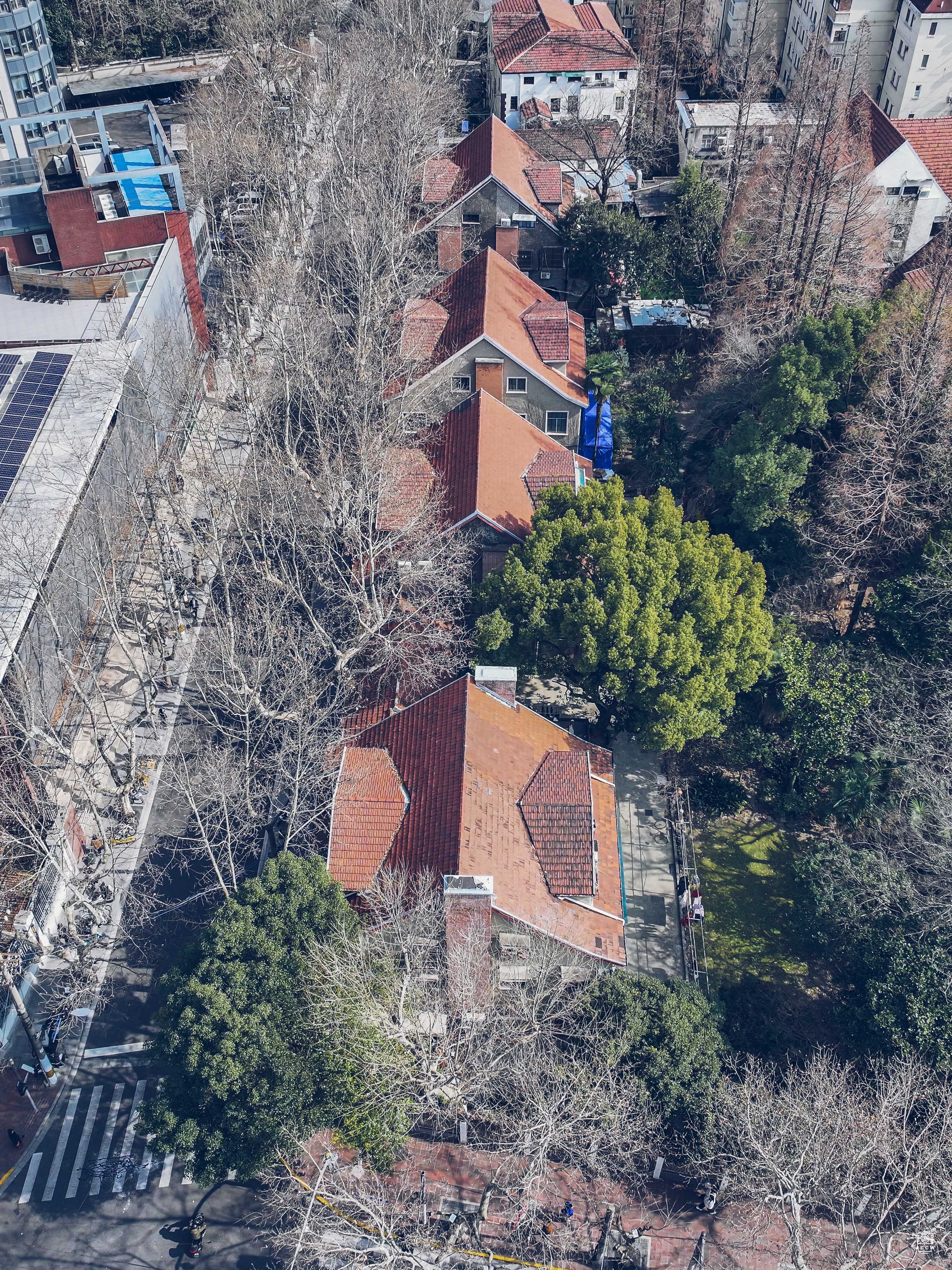 桃江路7-25号住宅 图片5