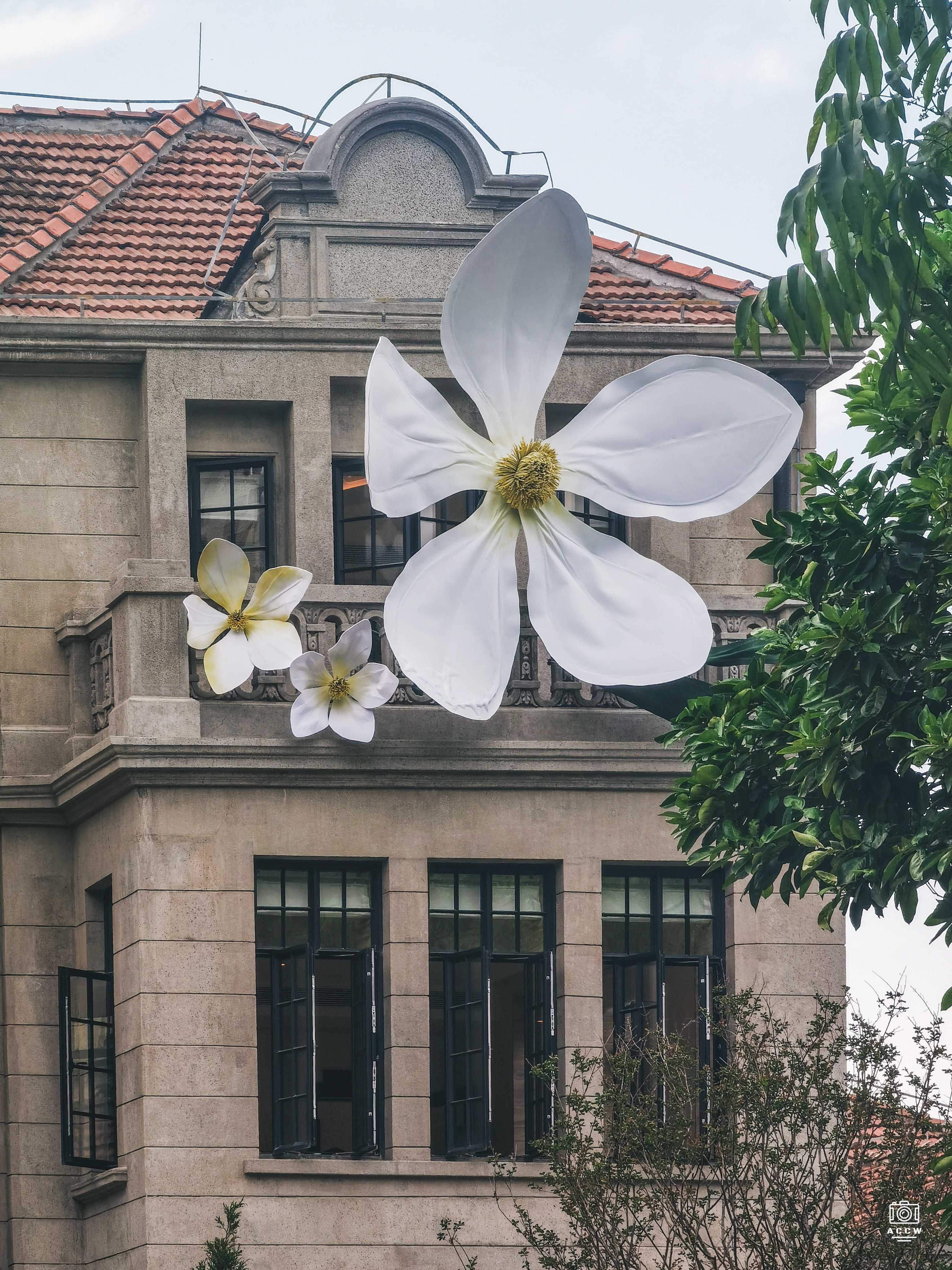 杨氏花园住宅 图片4