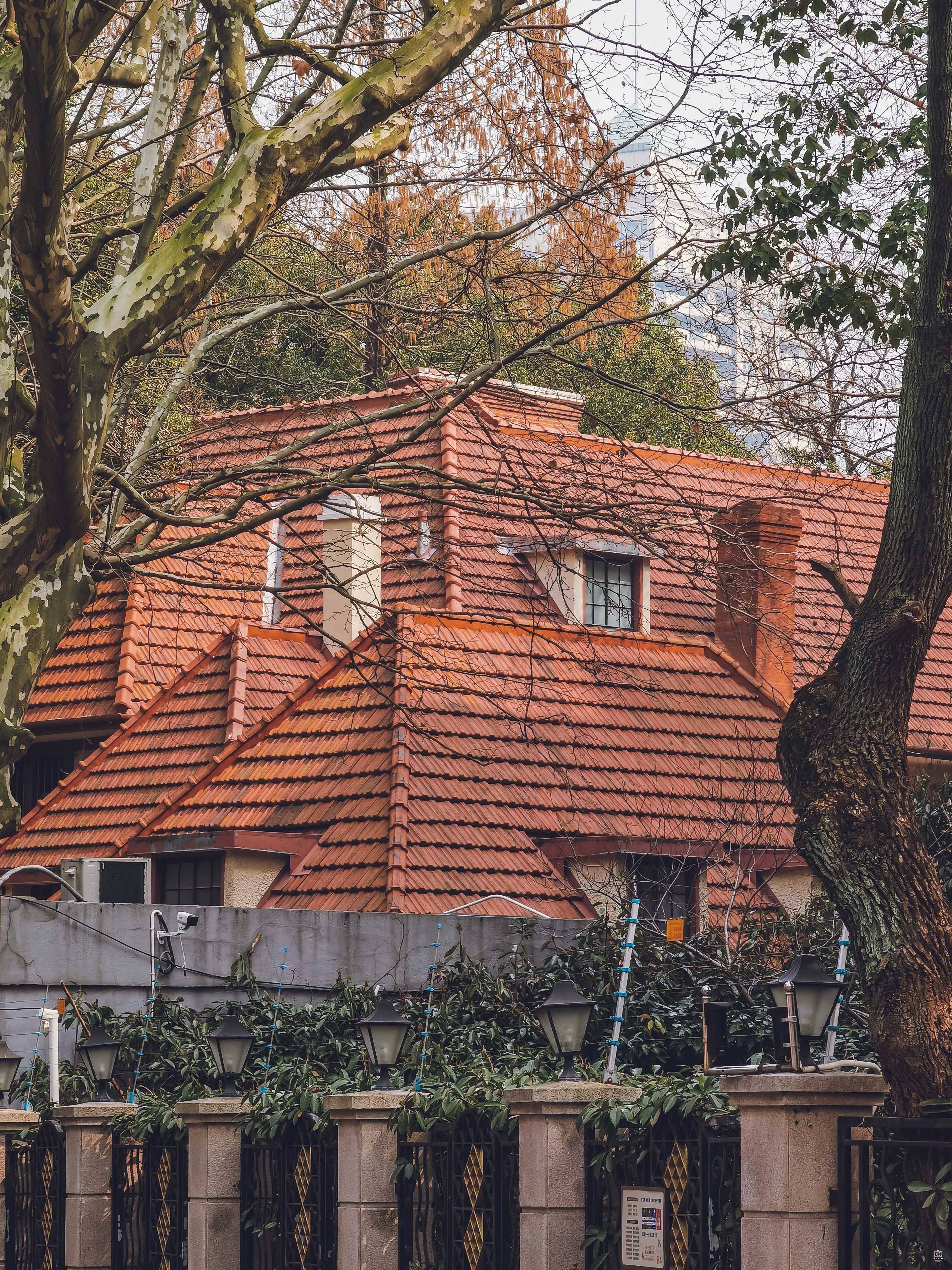 威尔金森住宅 图片3