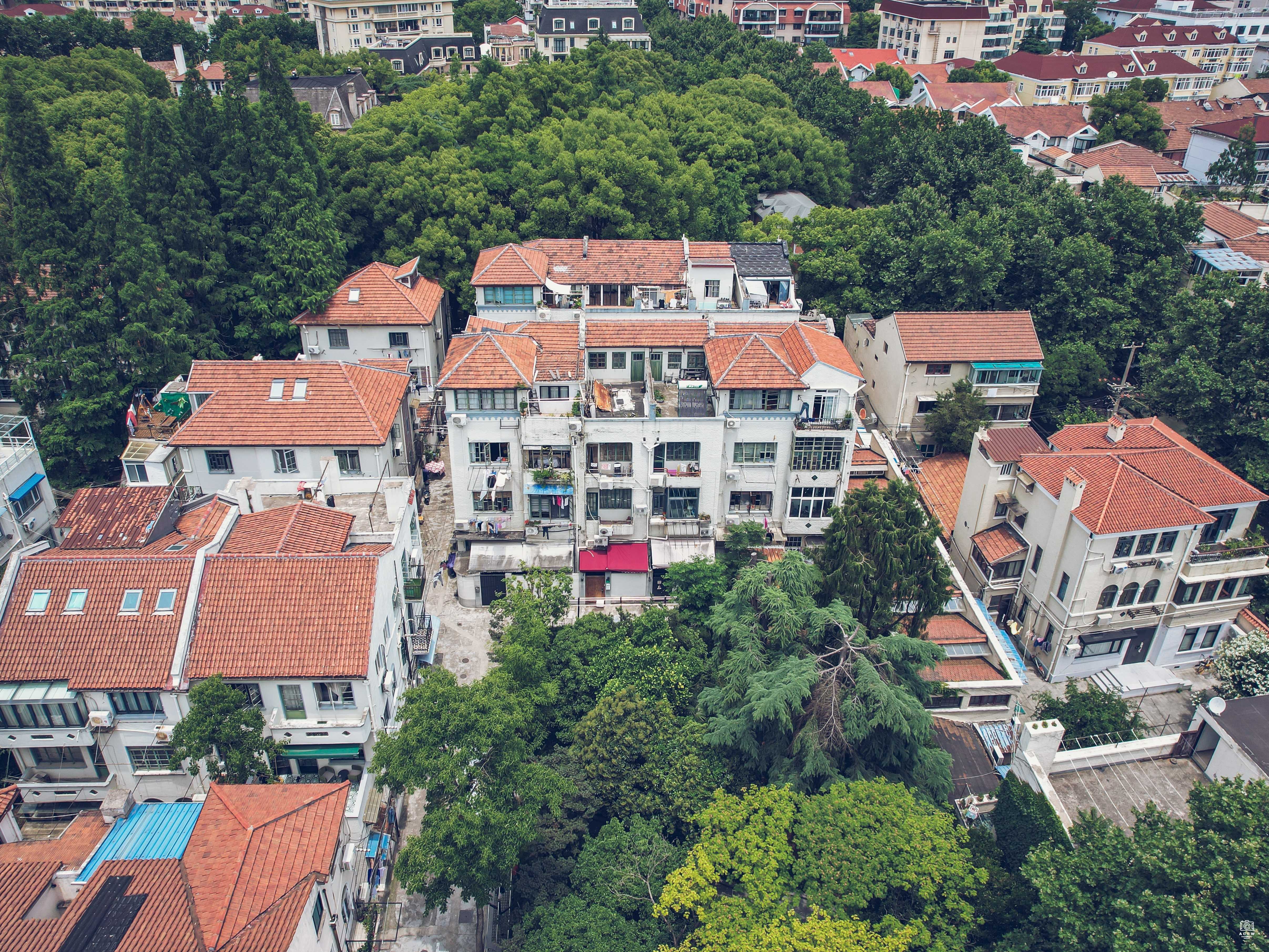 福禄邨、台拉新邨（北区） 图片5