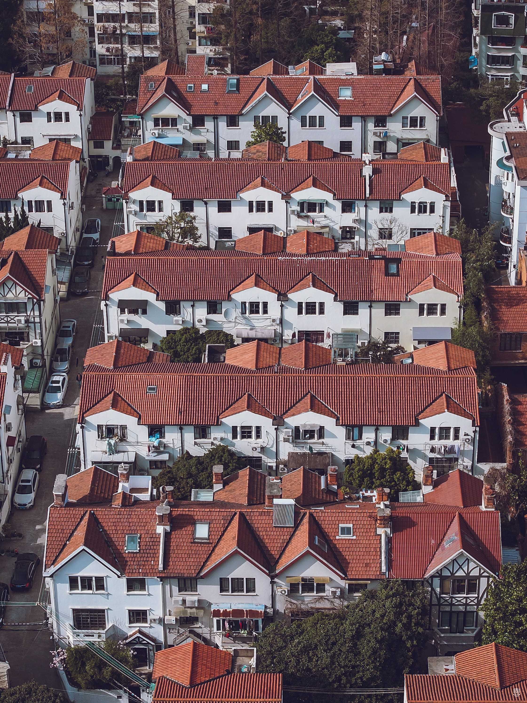 懿园 图片3